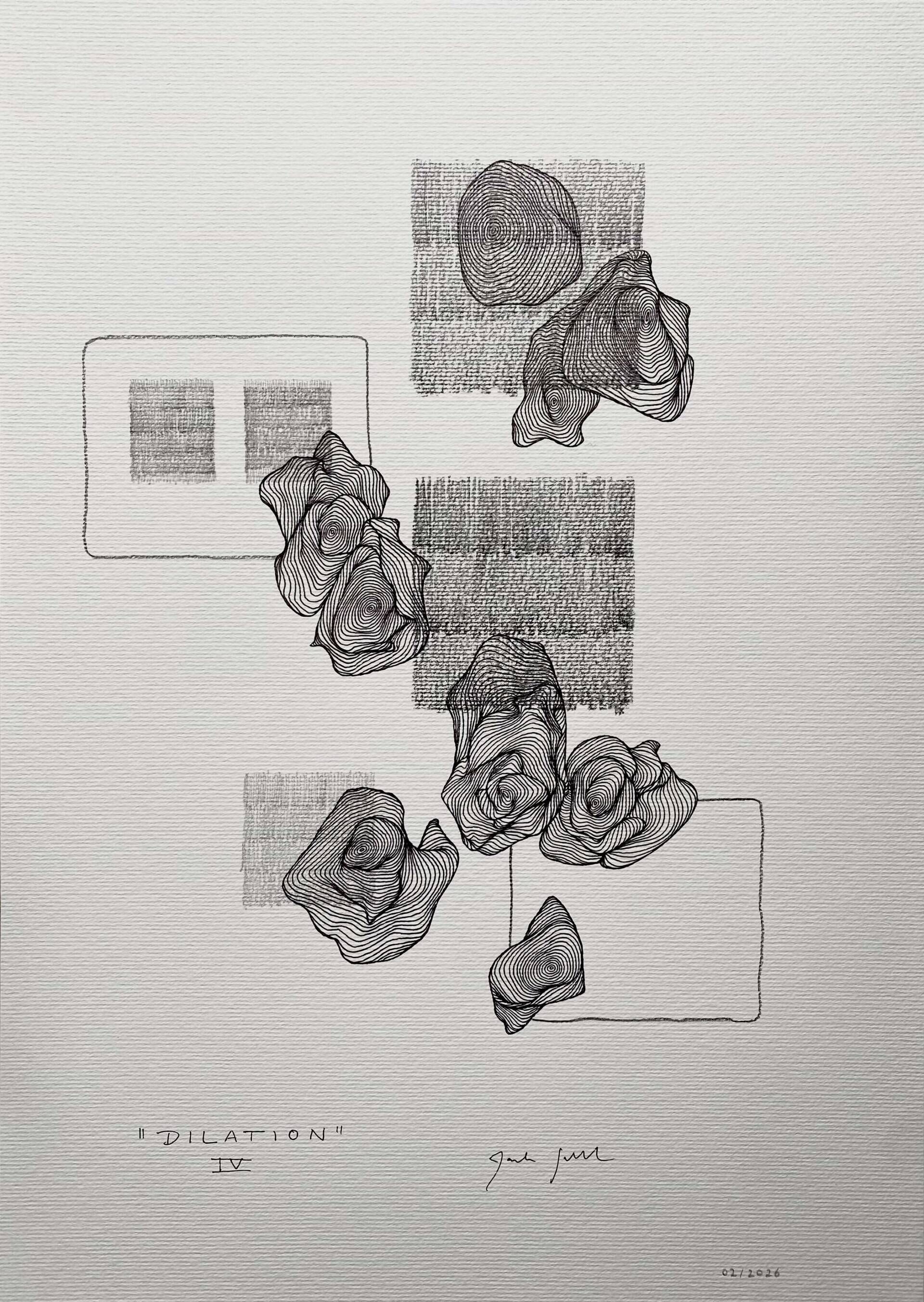 dilation IV - Paula-Maryla Schmoll 1