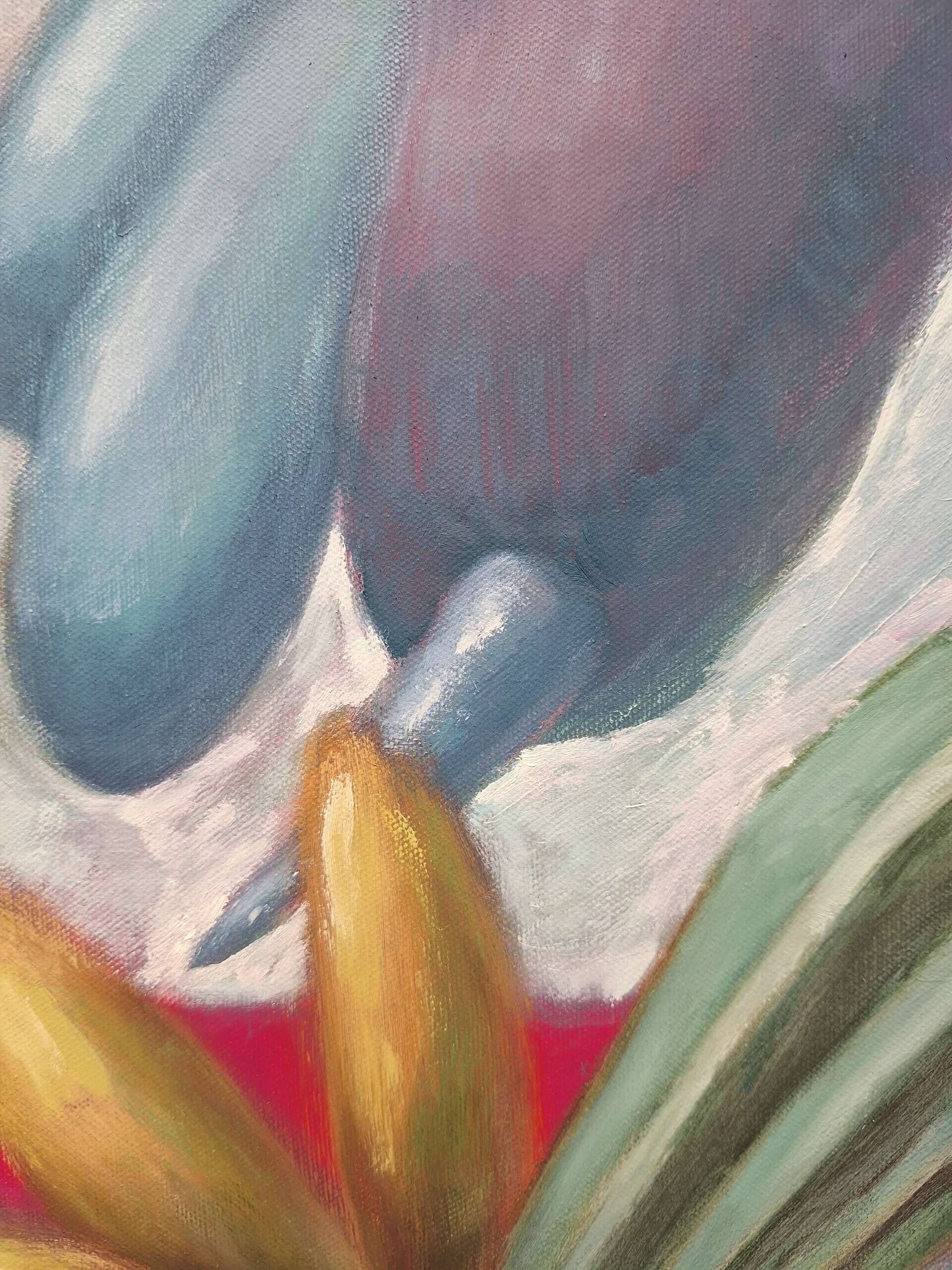 No Candy for Unicorns - Janek  Wisse 2