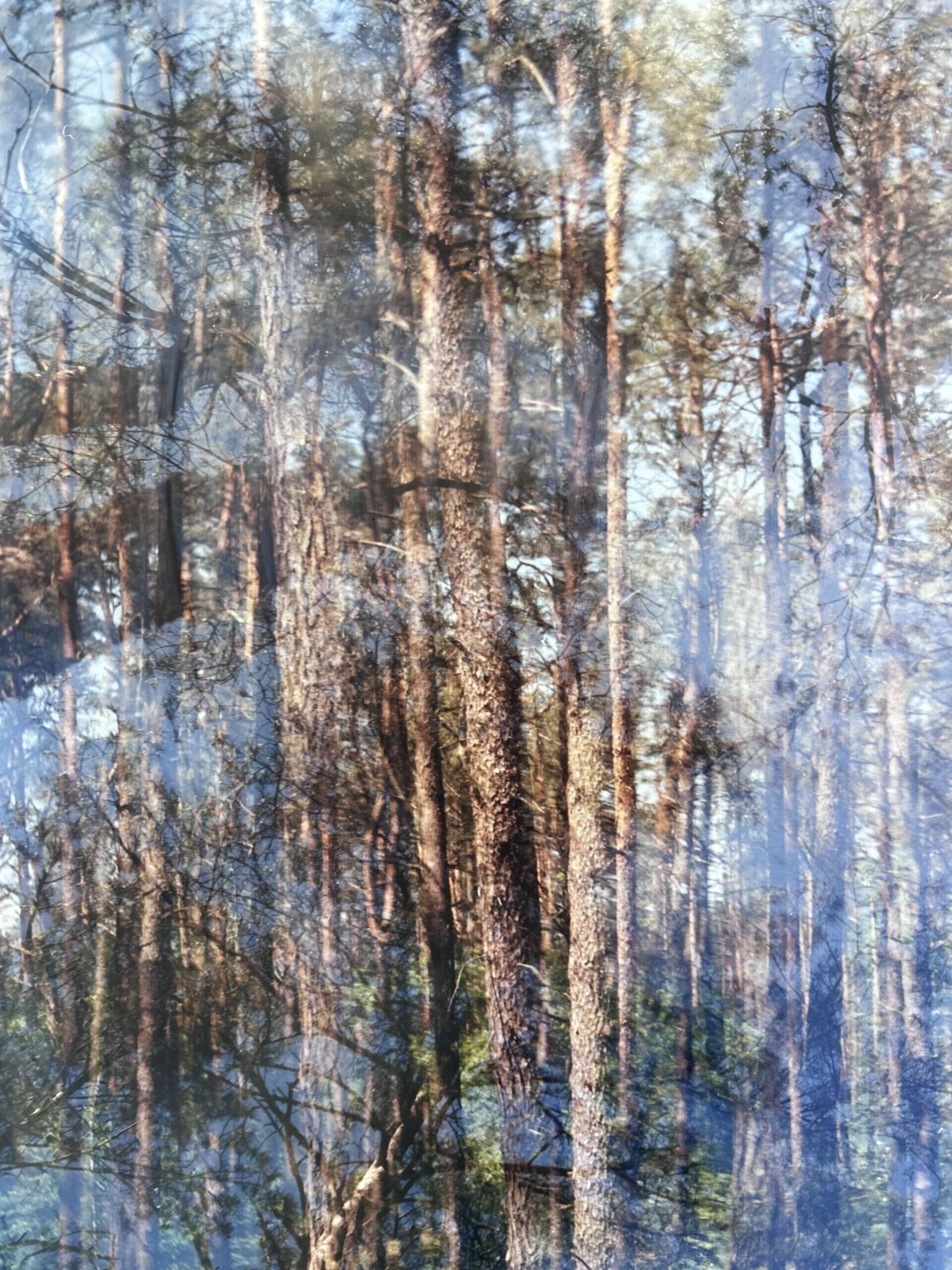 Wunderwald 2.0 - Luise Oswald 7