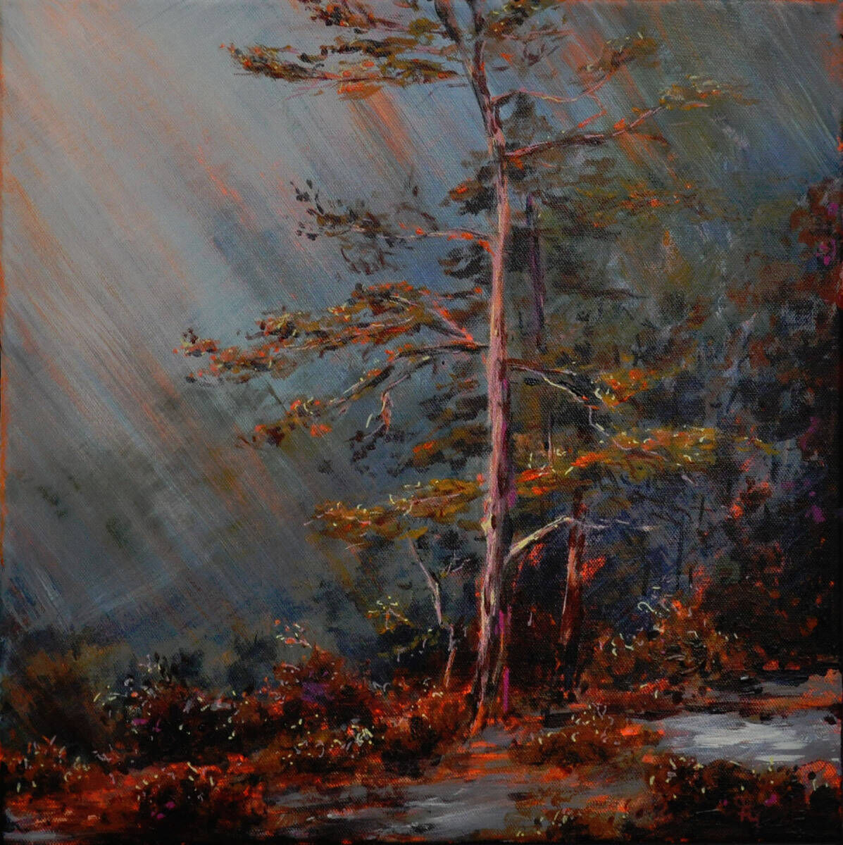 Licht und Nebel
