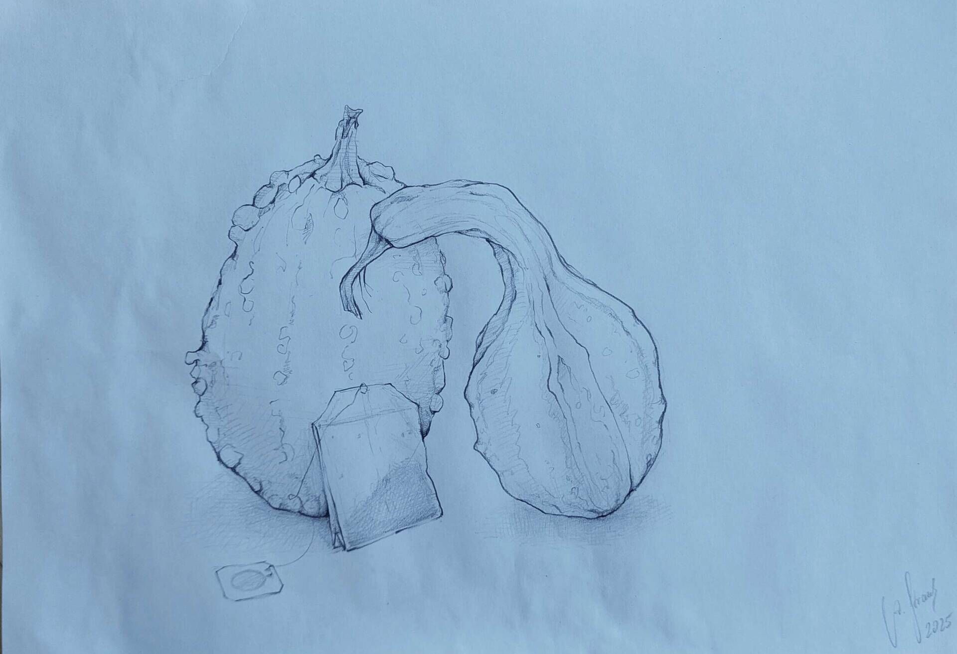 Stillleben mit Teebeutel - Alexander Straub 1