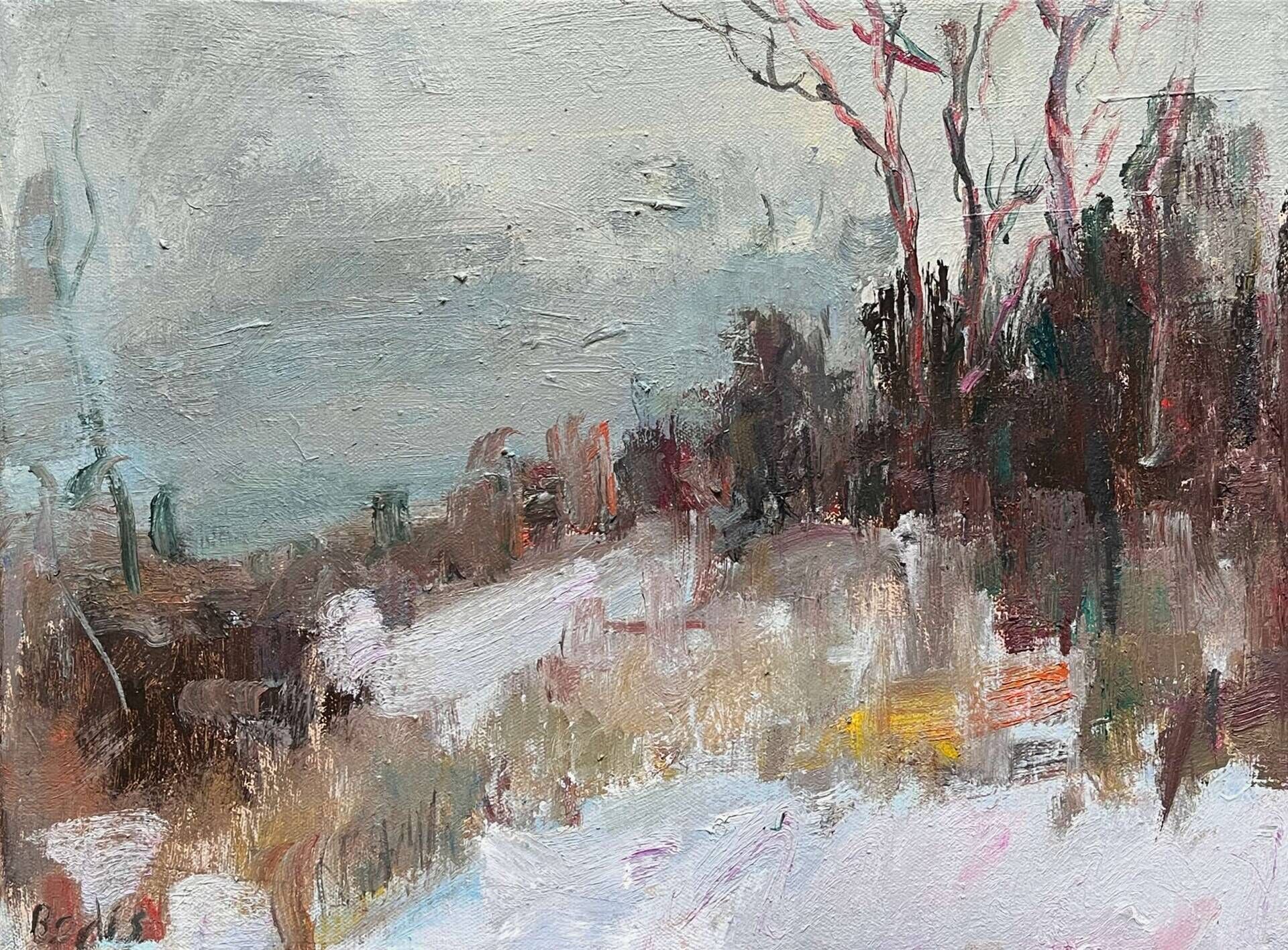 Snowfall - Bohdan  Dobrivskyi  1