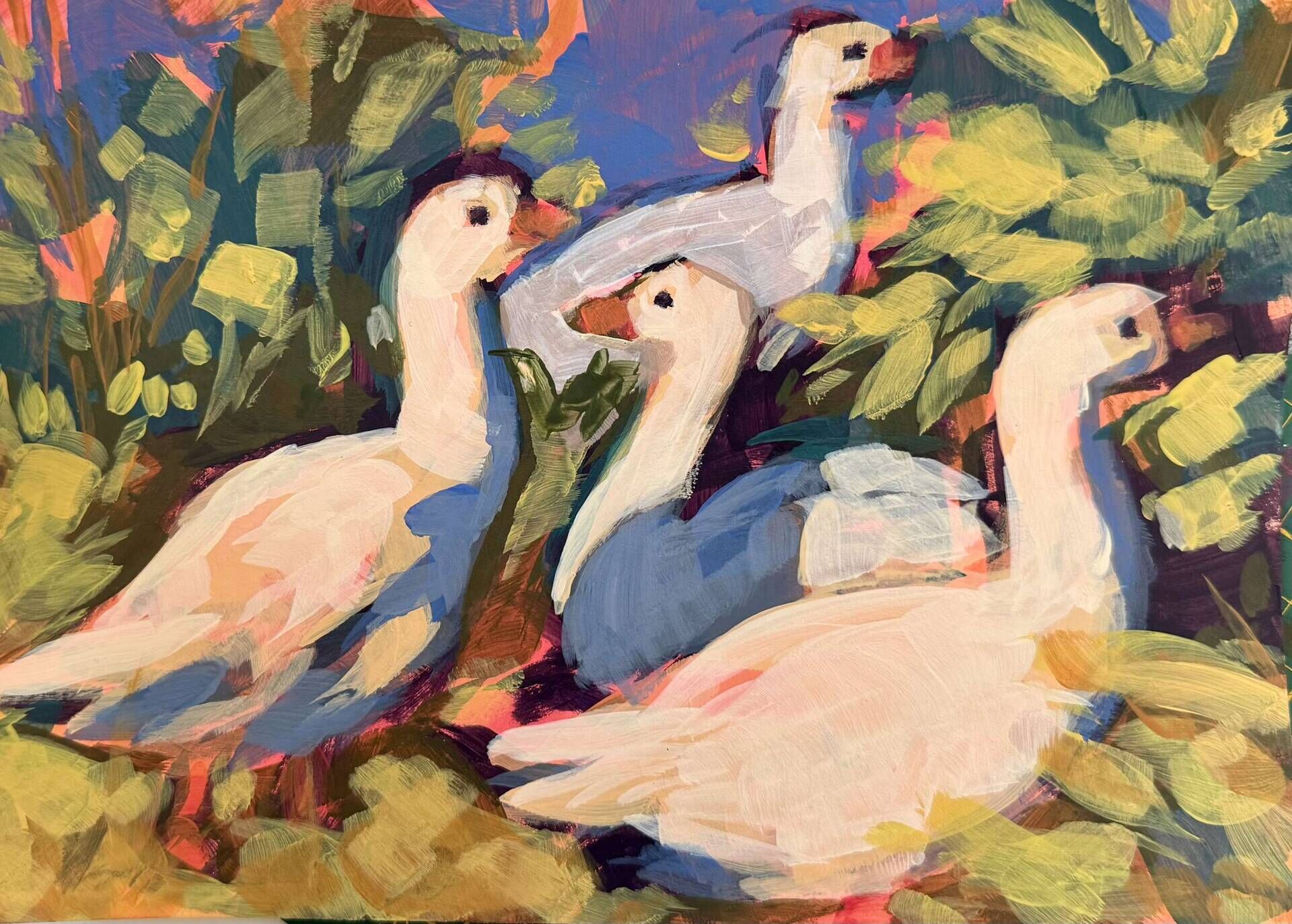 Gänsetrupp - Daniel Heimgärtner 1