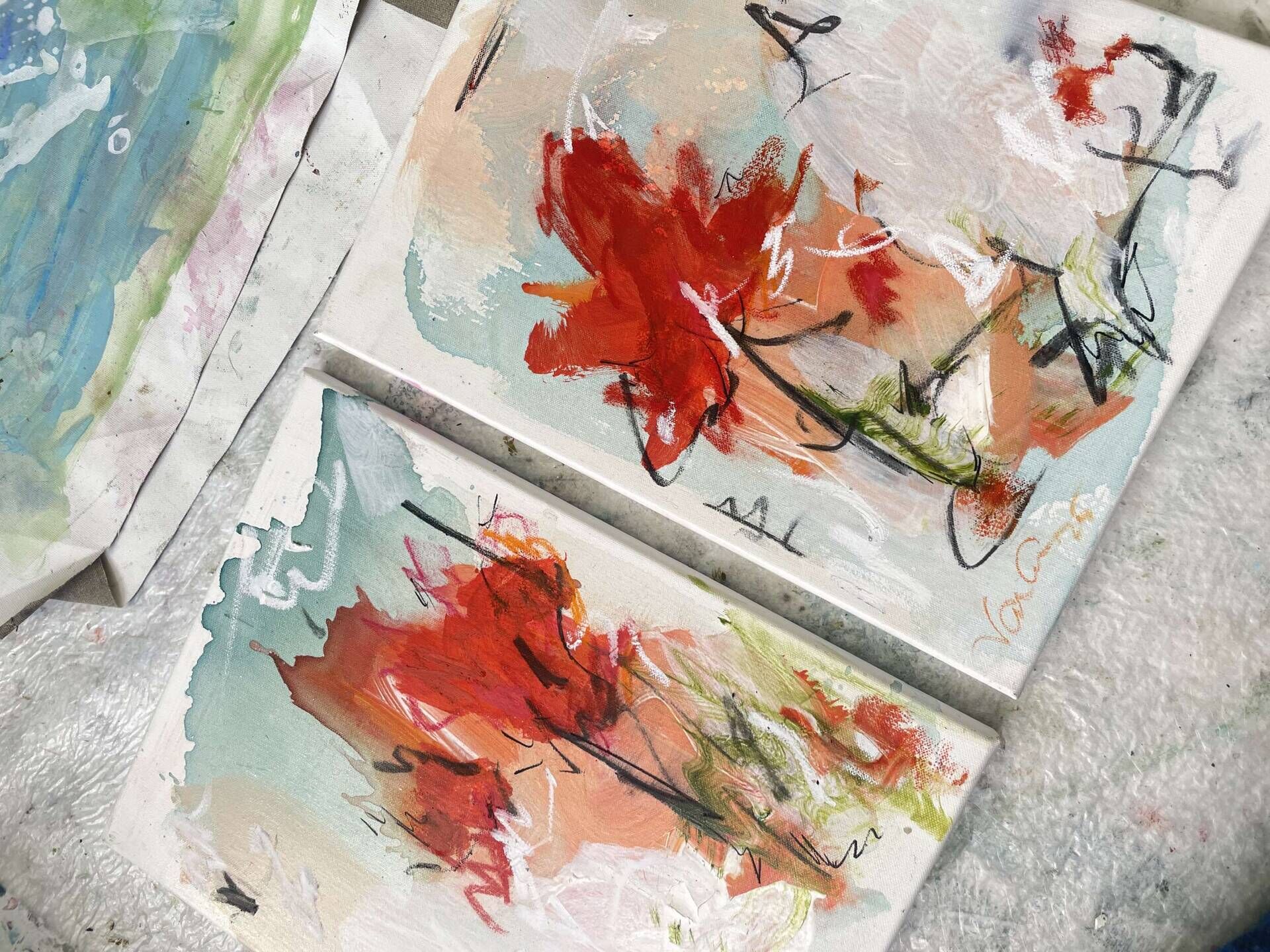 Poppy flowers 1 - Valerie Cee 3