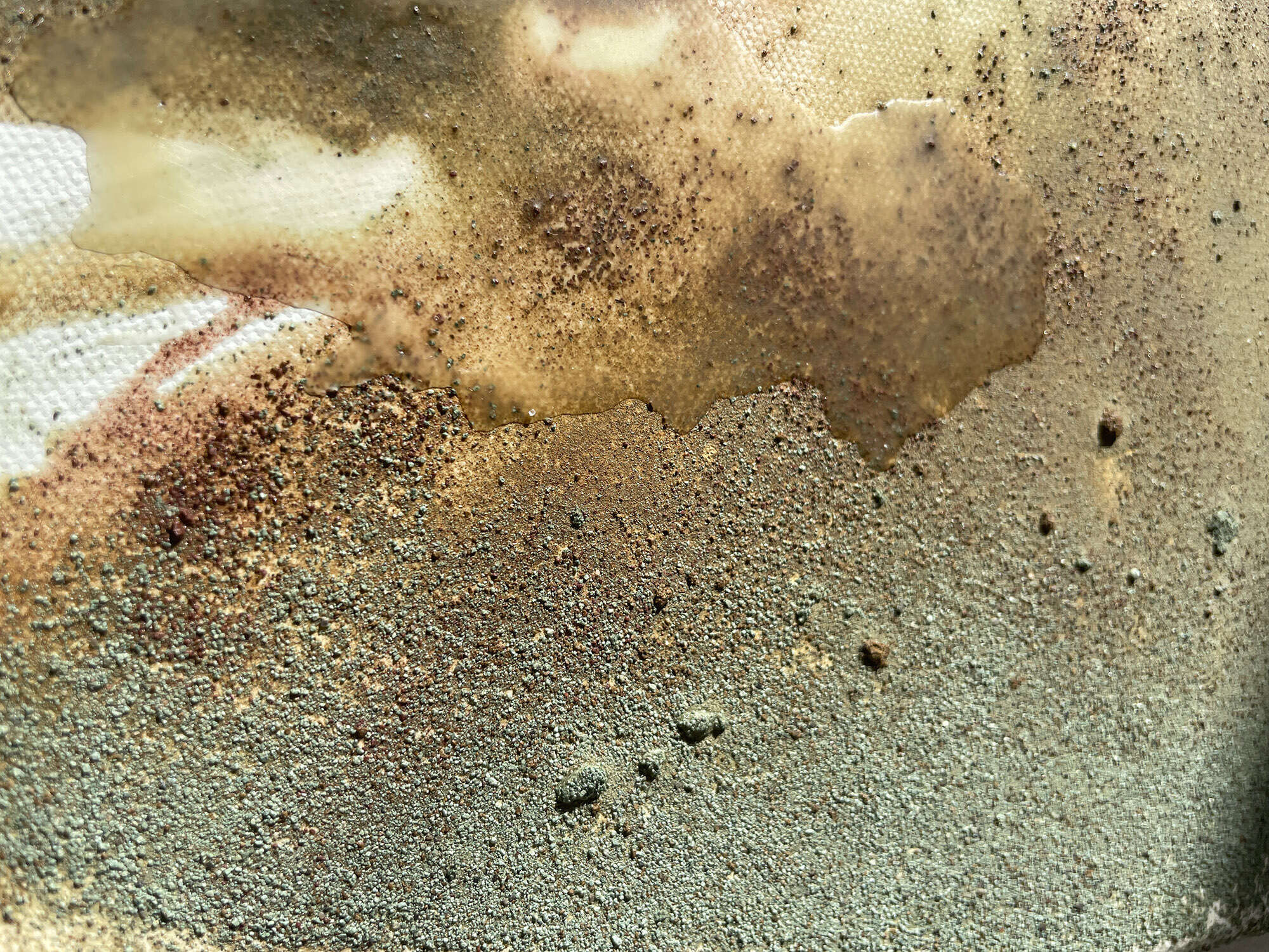 Echo der Natur - Vicky Anna Lardschneider 1