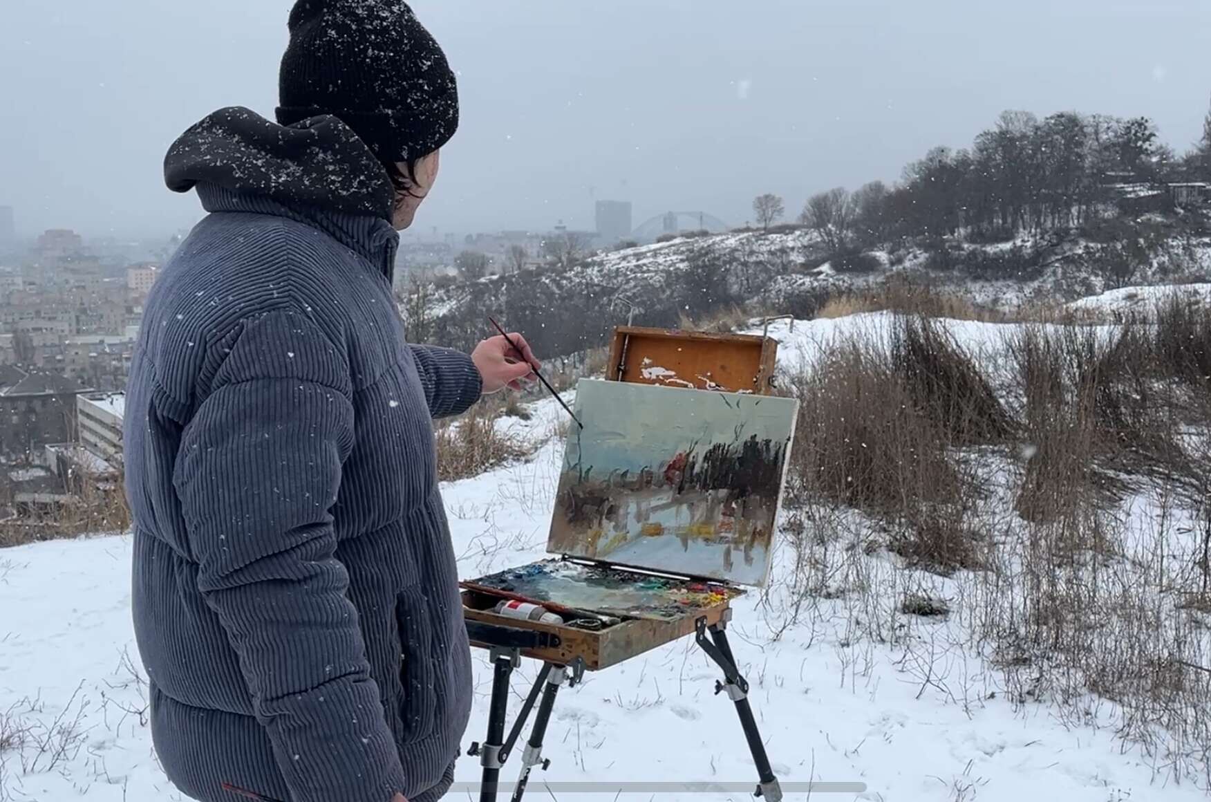 Snowfall - Bohdan  Dobrivskyi  2