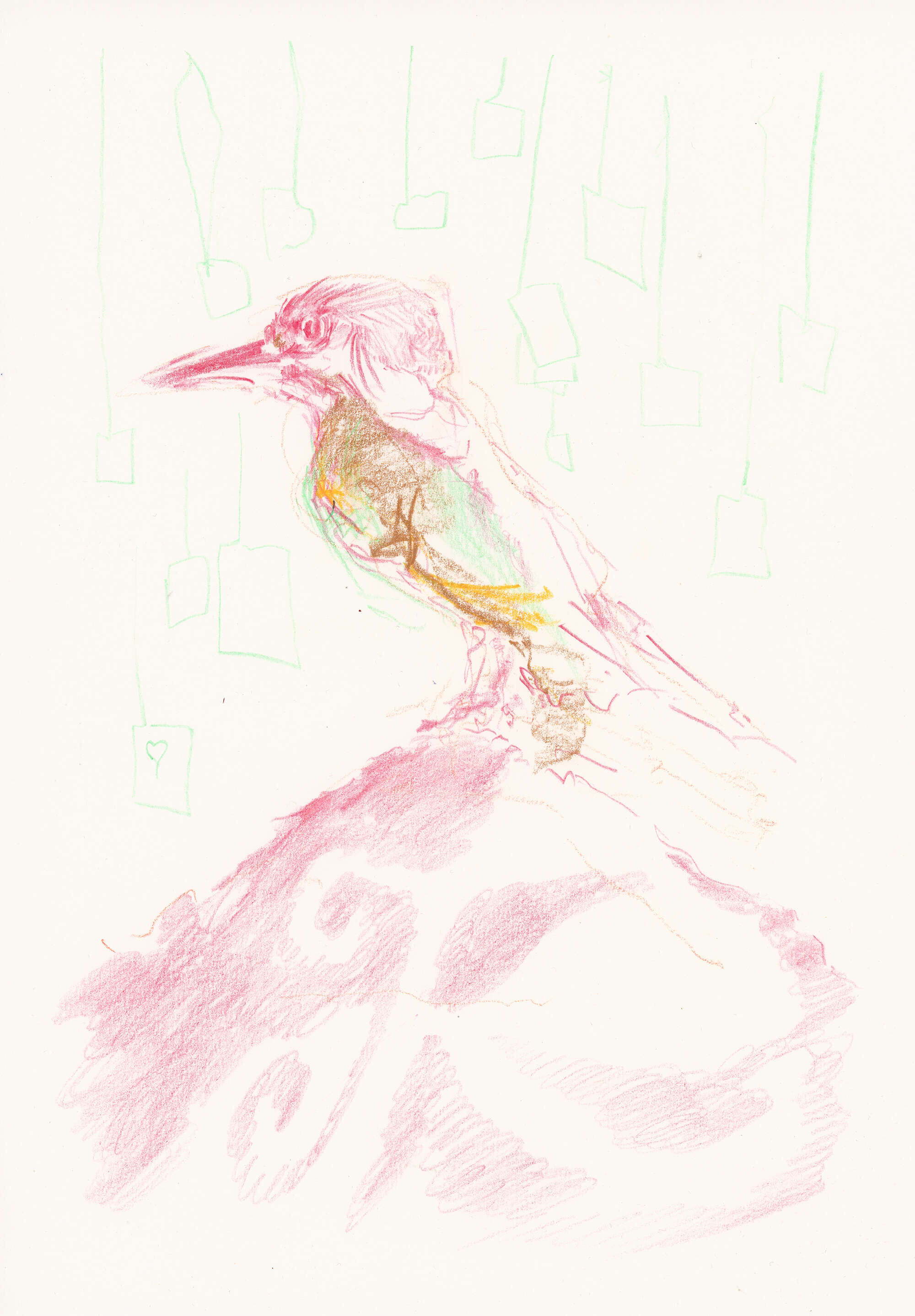 Vogel Croquis I - Lukas Häring 1