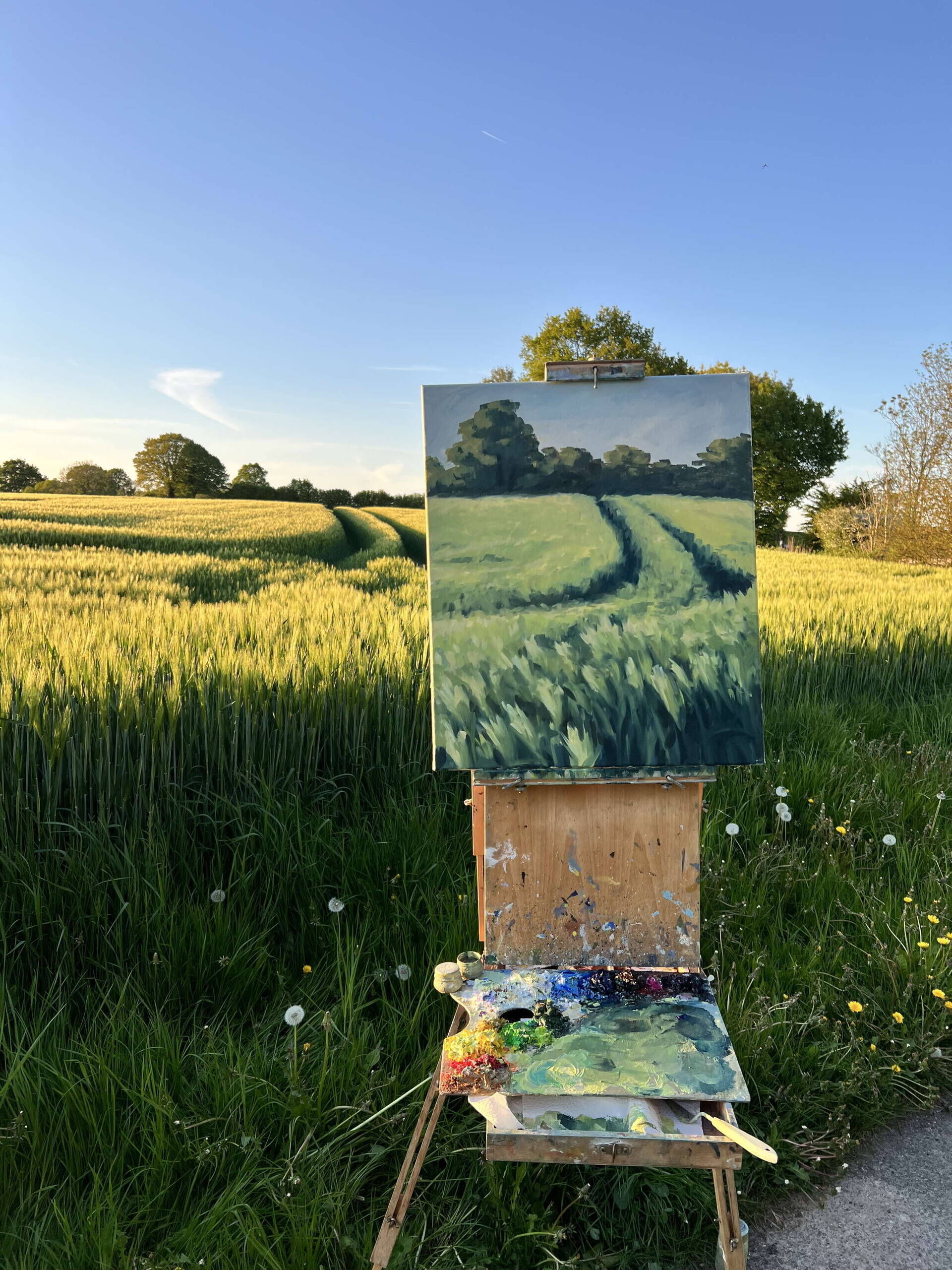 Gerste im Mai - Janna Schnoor 5