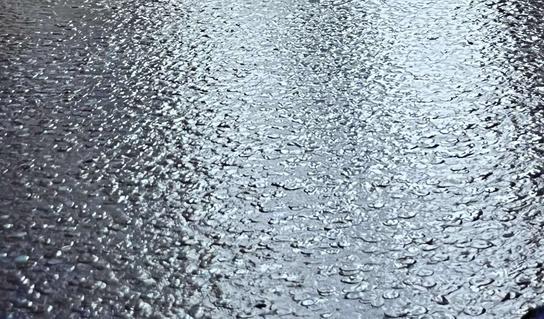 N.H.0001 - Pia Weigert 3