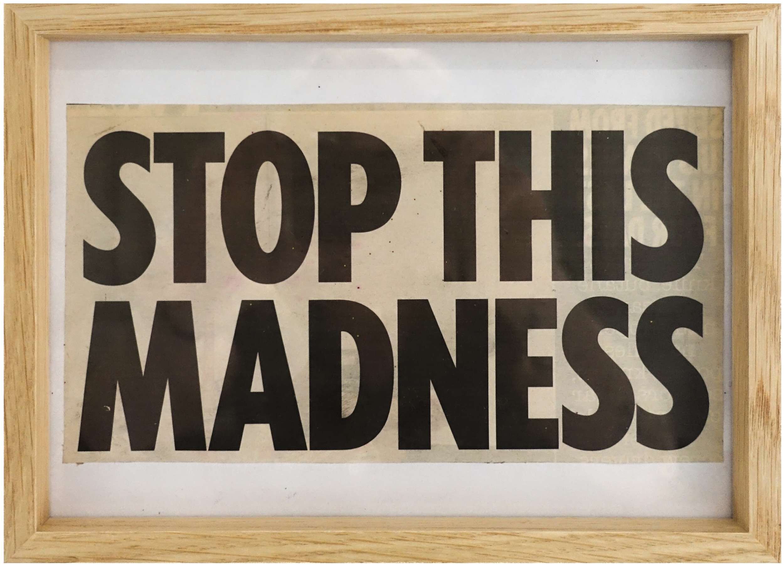 Stop this Madness - Lenny Renz 1