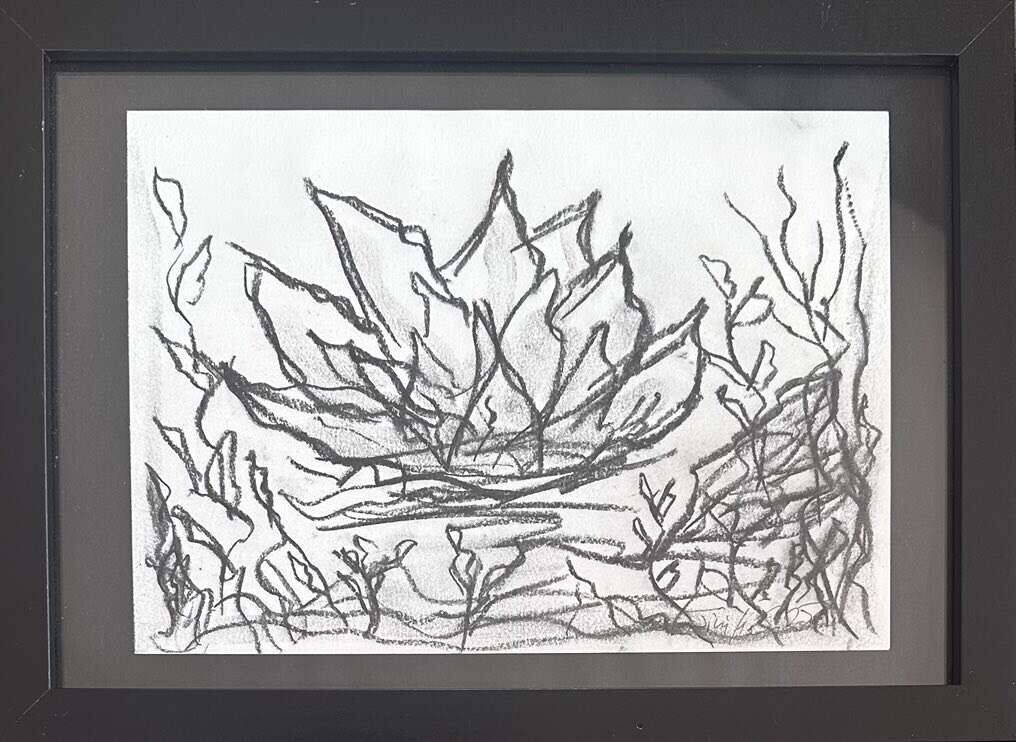 Waterlilies Dream 3 - Martina  Schepperle  1