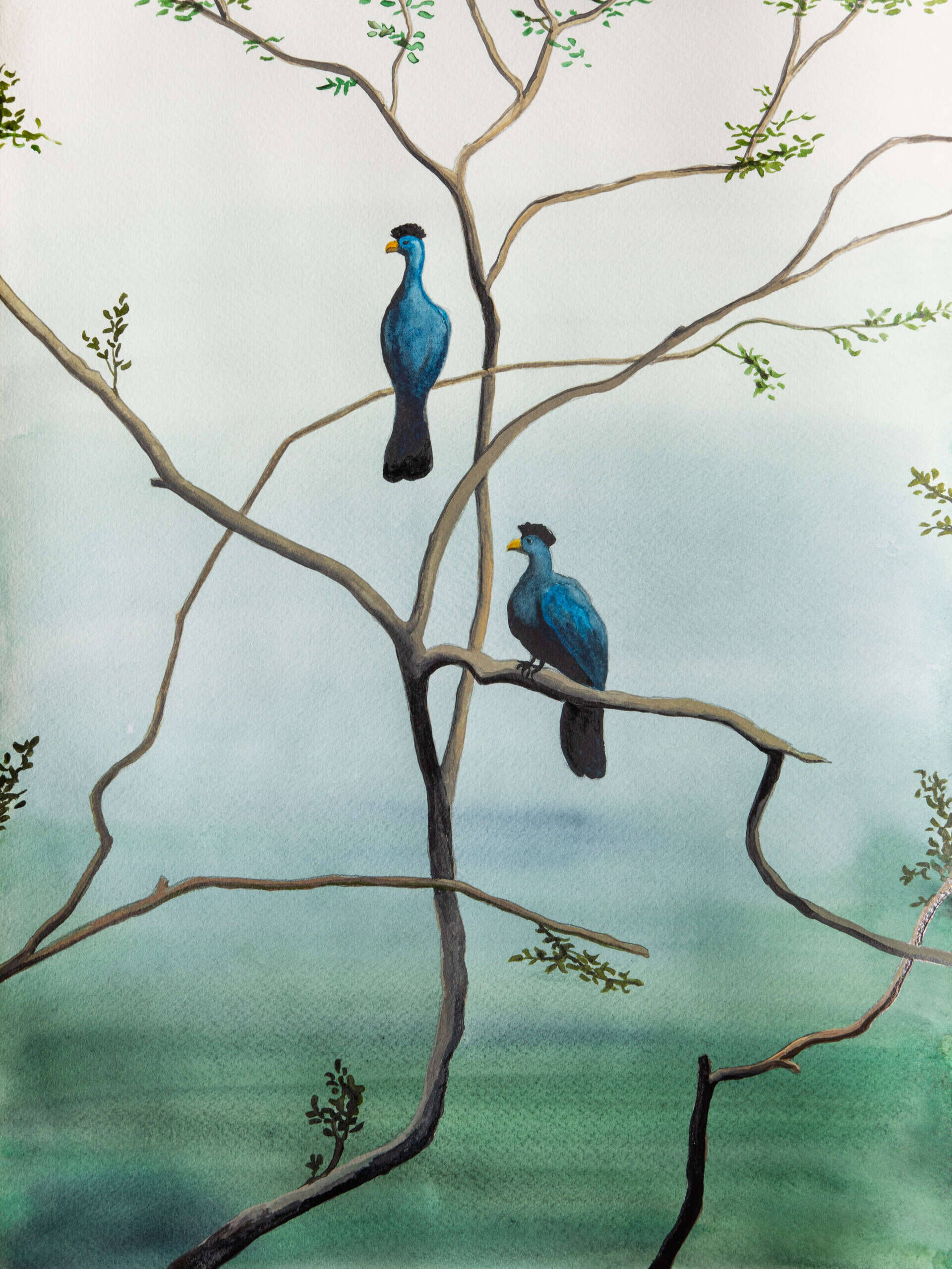 birds in the break of dawn - Alina Beck 1