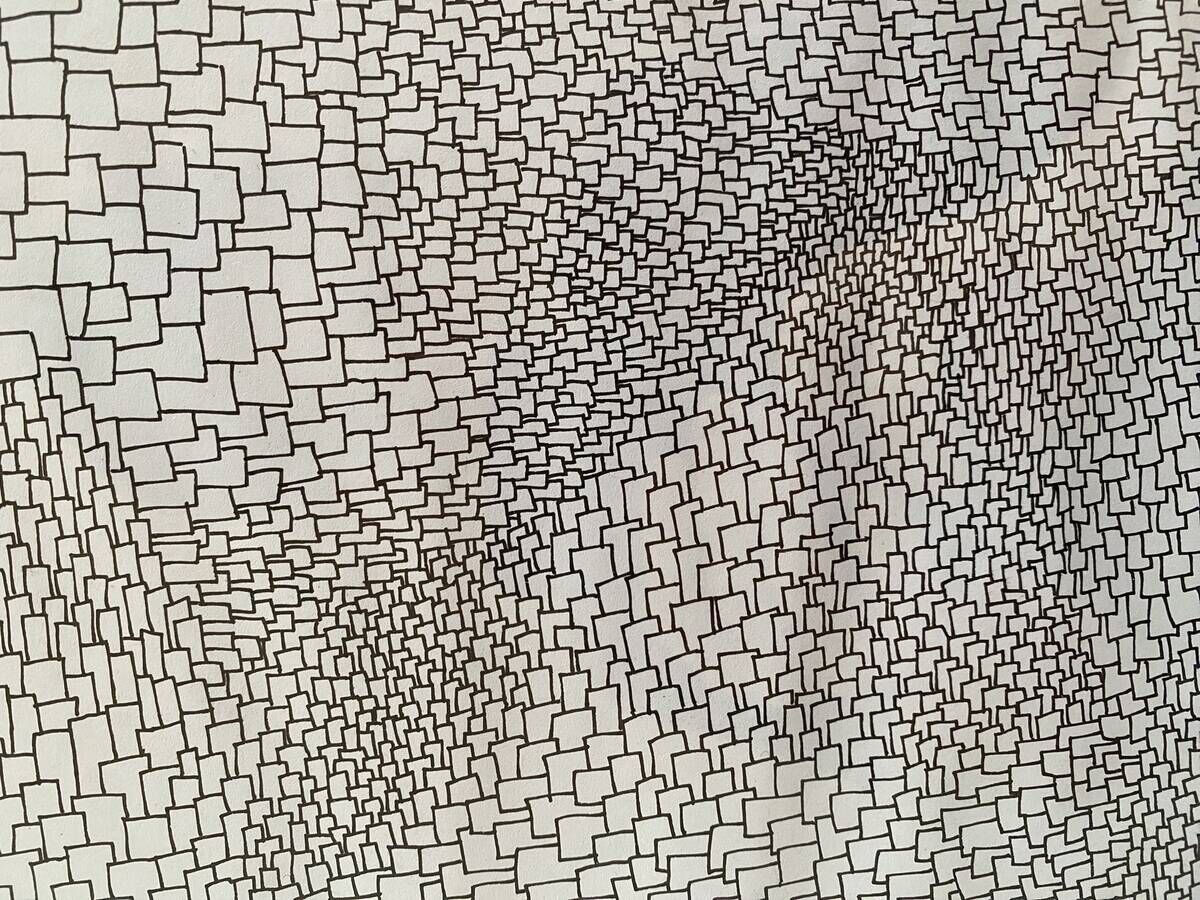 Netzstudie VIII - Paula-Maryla Schmoll 1