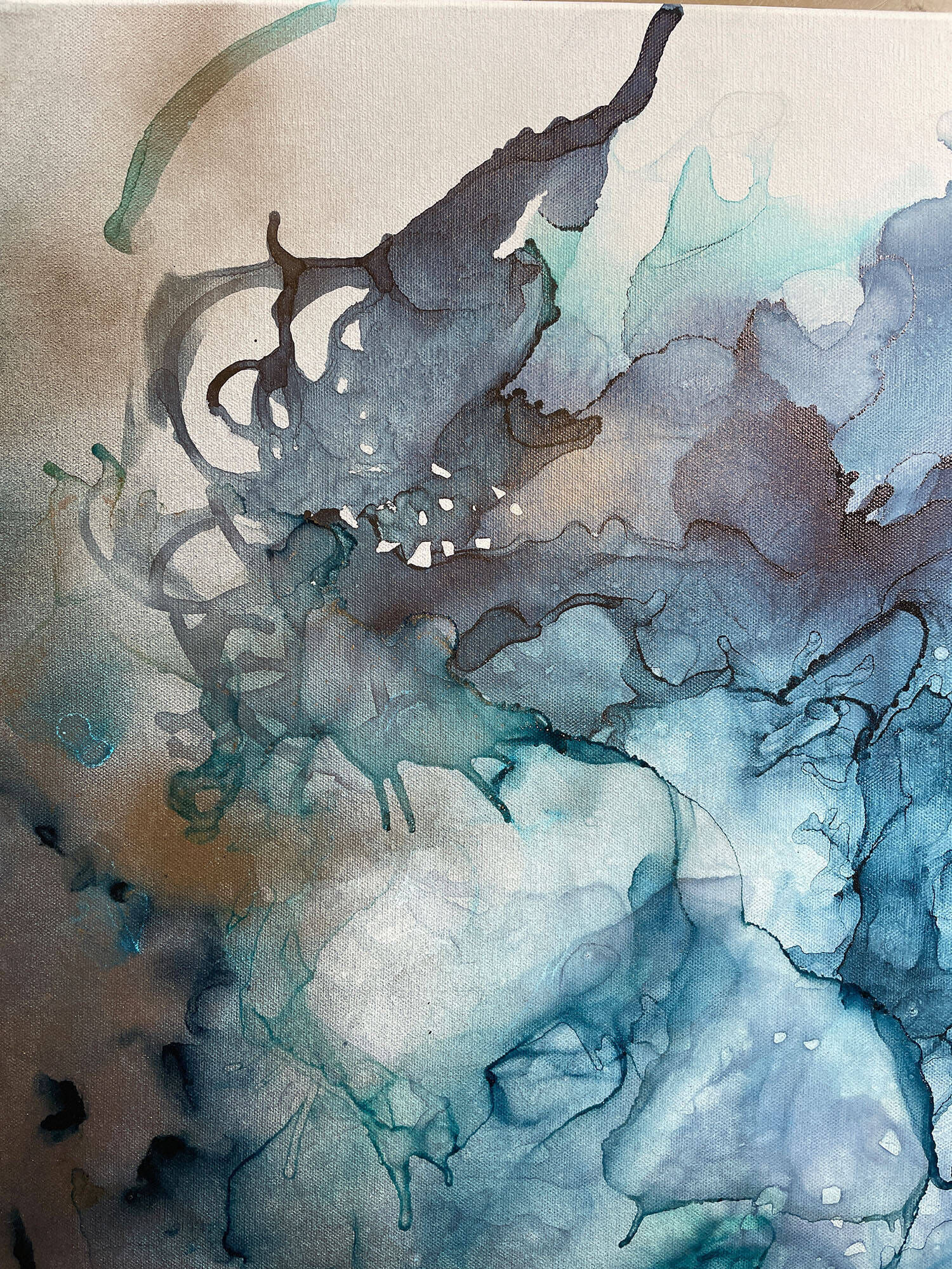 Corals - Vicky Anna Lardschneider 1