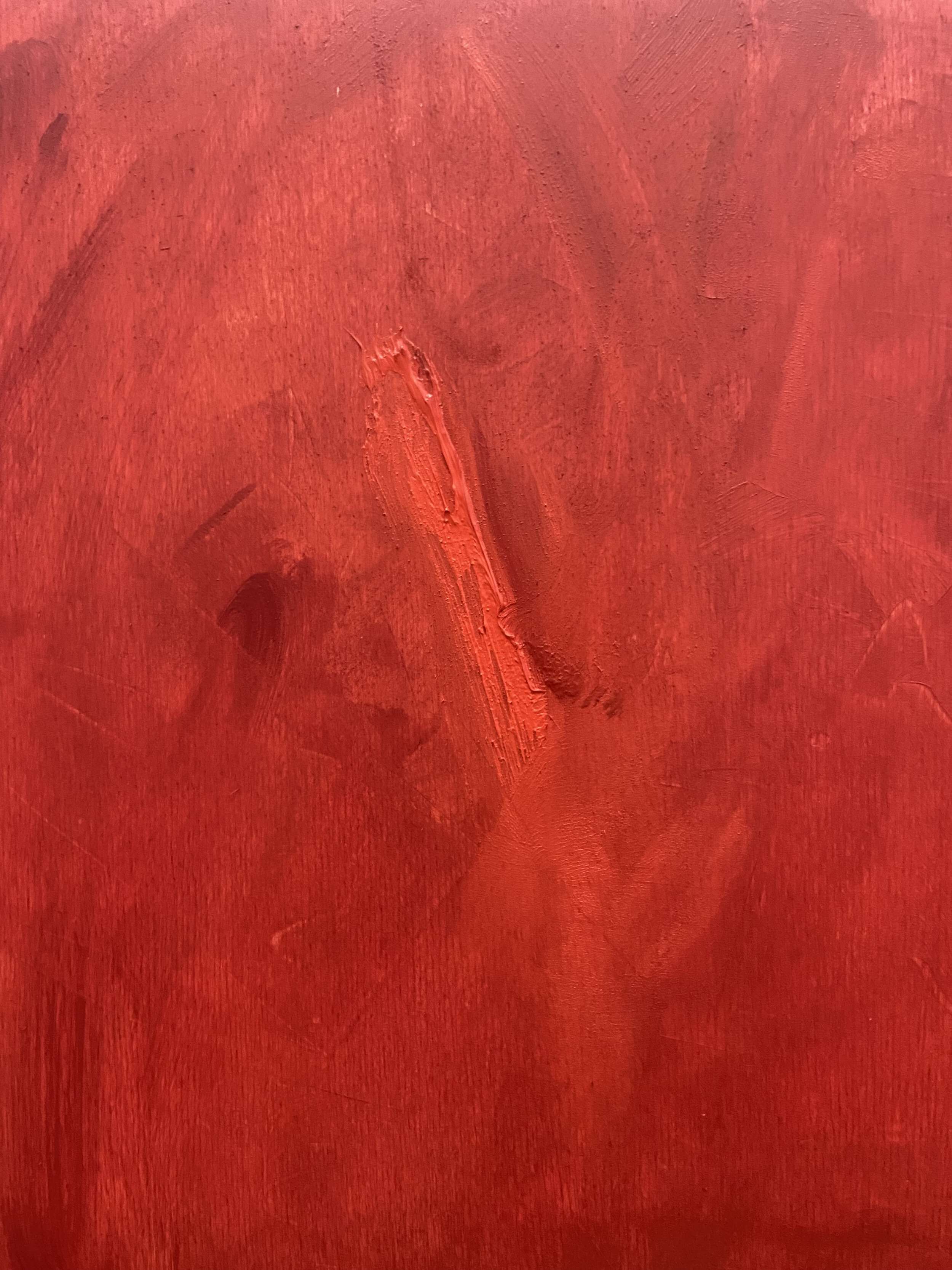 Consumed by red space  - Lilli Geyer 4