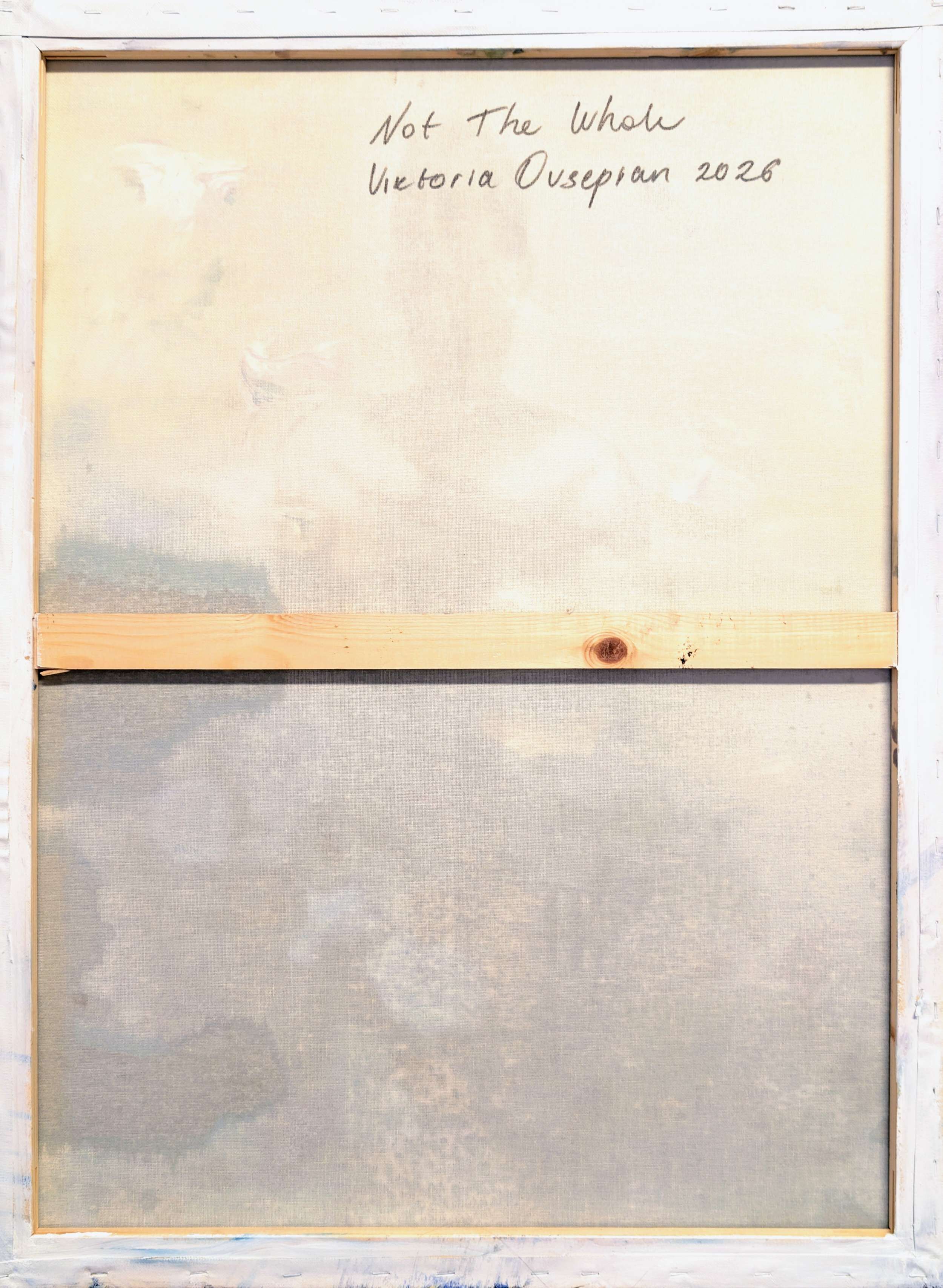 Not the Whole  - Viktoria Ovsepian 1