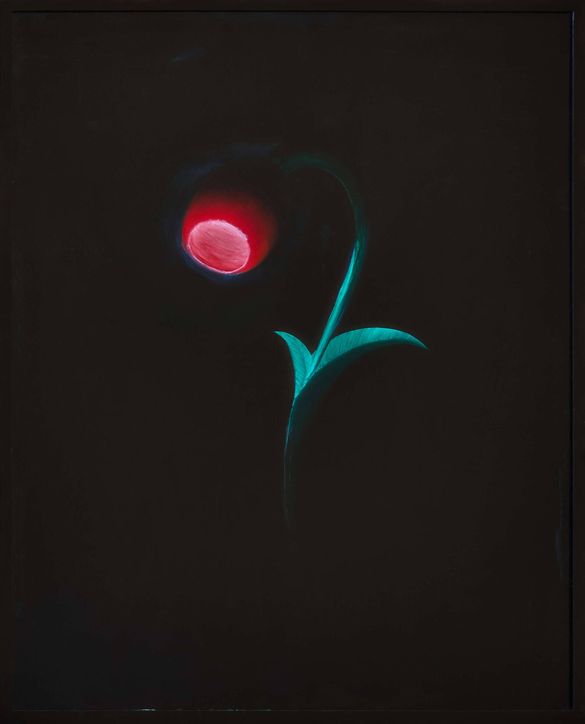 Anglerfisch - Michael Tauschke 1