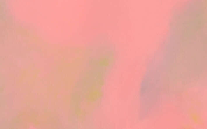 Dreams_rosa - Vincent  Hüdepohl 2