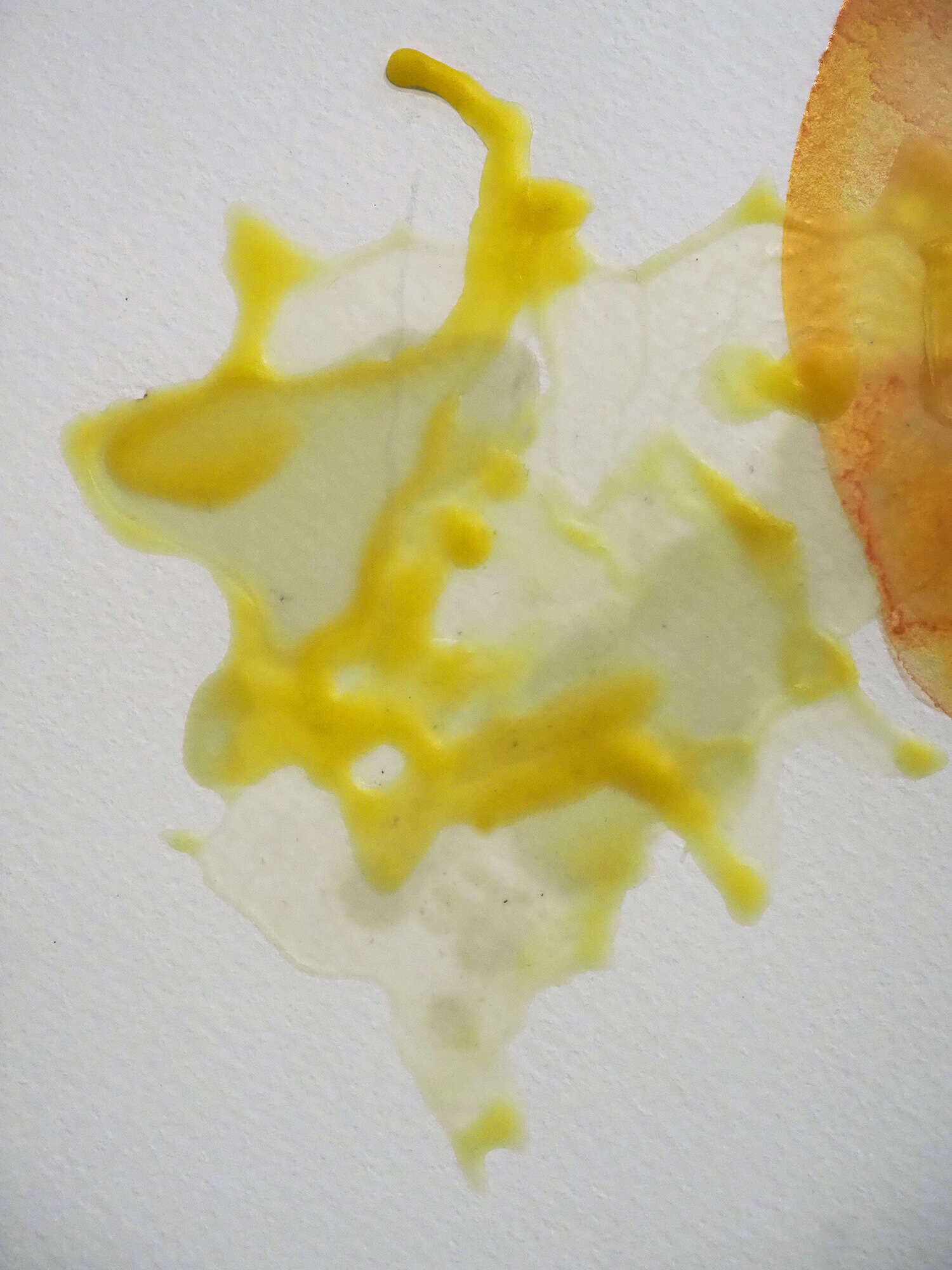 Microverse 5/12 - Vicky Anna Lardschneider 2