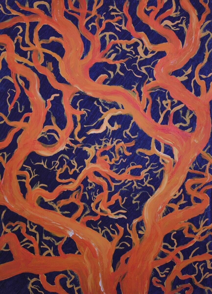 The Mystical of the Forest 7