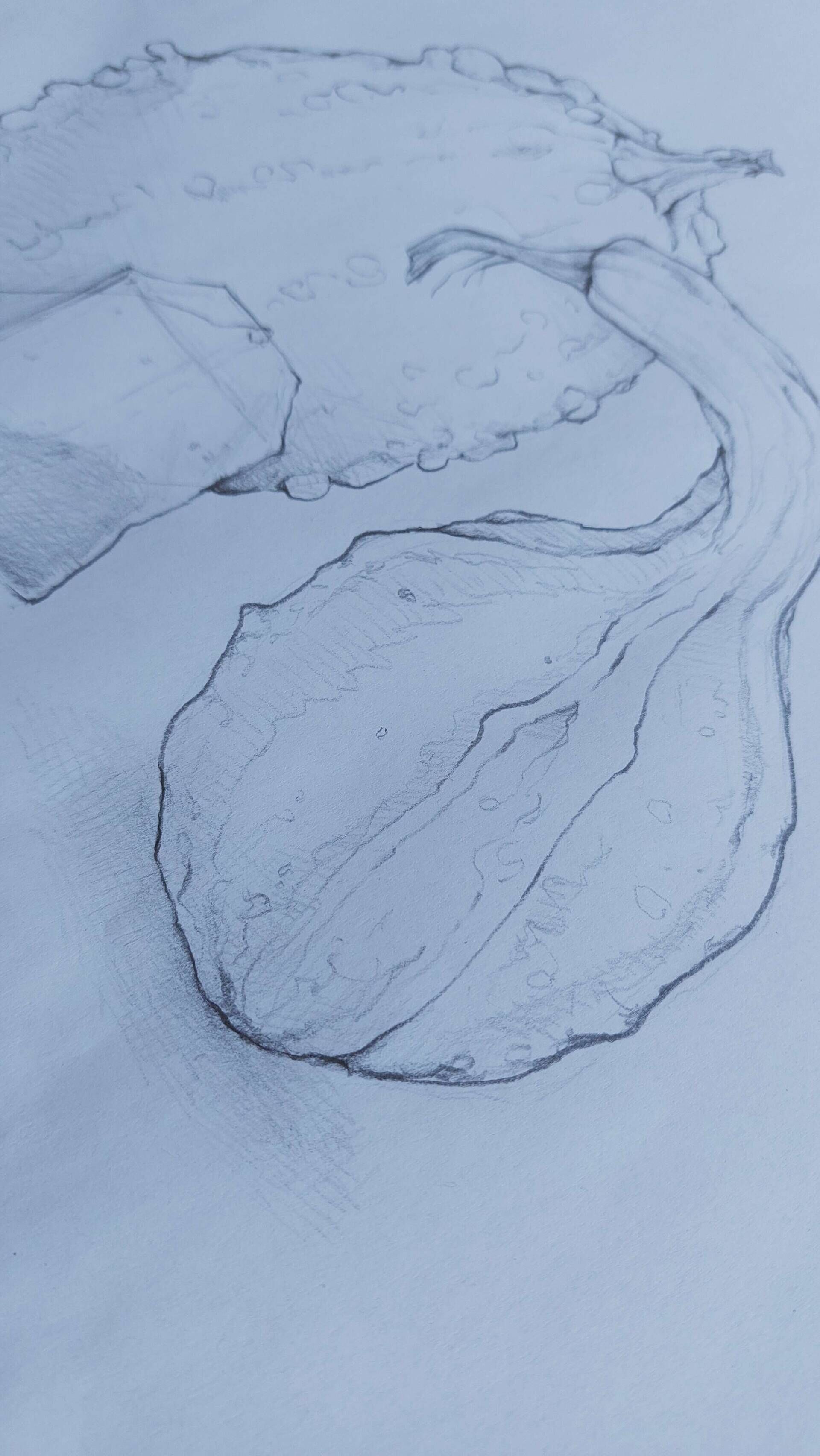 Stillleben mit Teebeutel - Alexander Straub 5