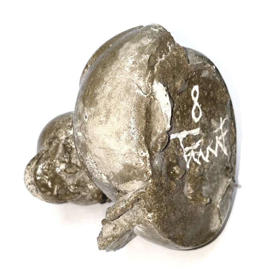 Finding Gloss in the Dryness They Know (2026) - Terryfied Club 6