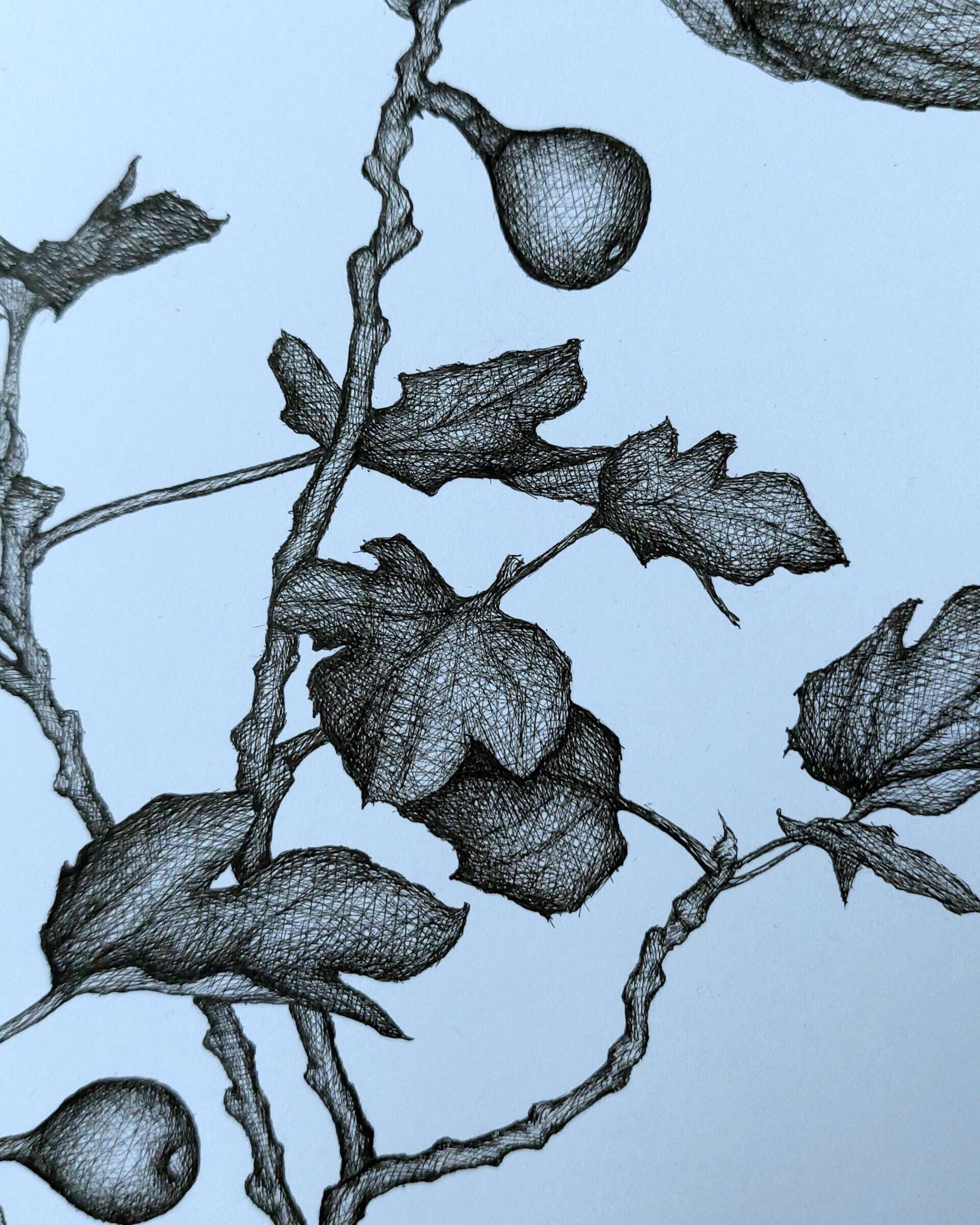 Feigenbaumstudie - Alexander Straub 2