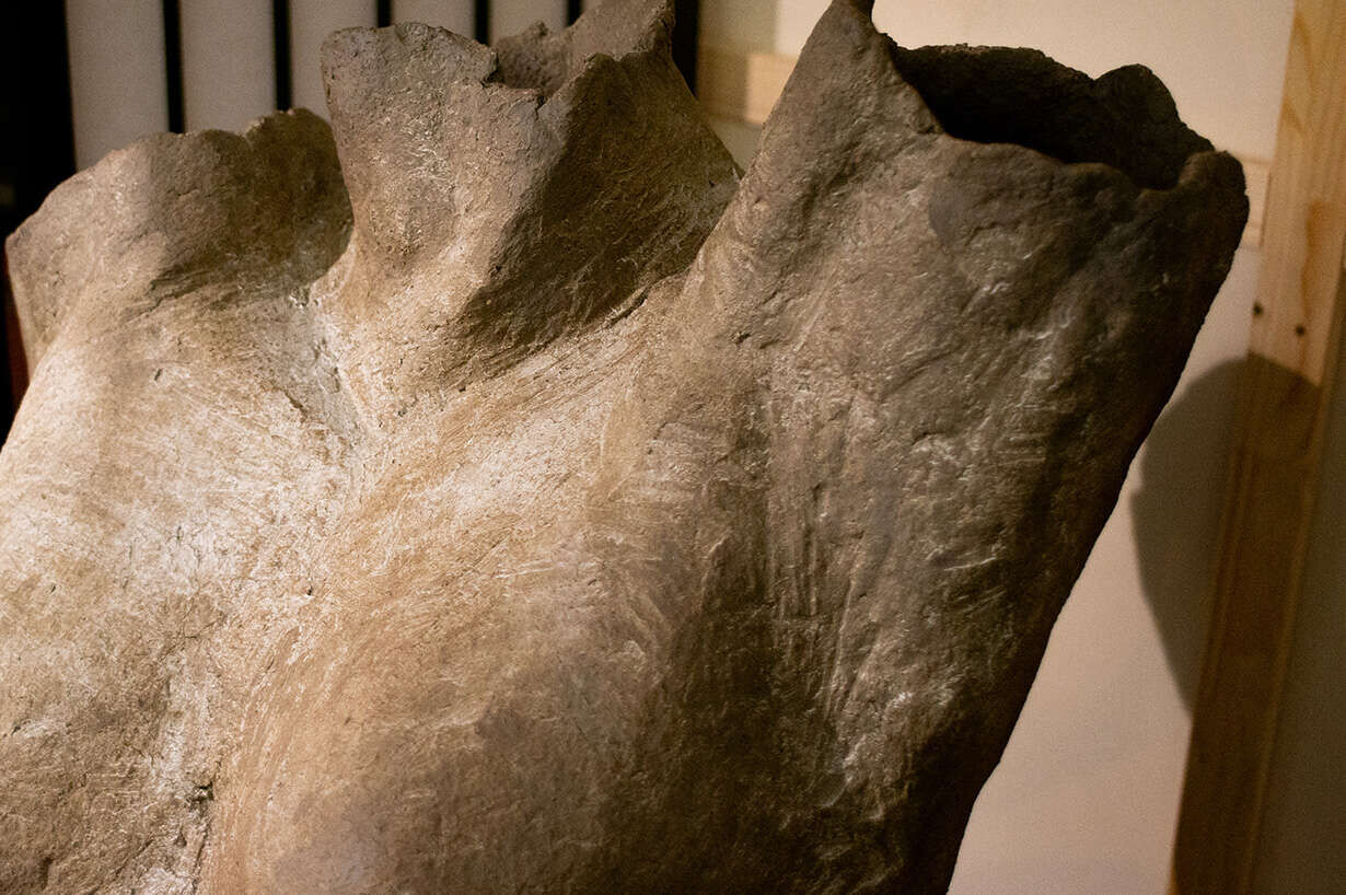 Gestreckter Torso - Melek Özer 2