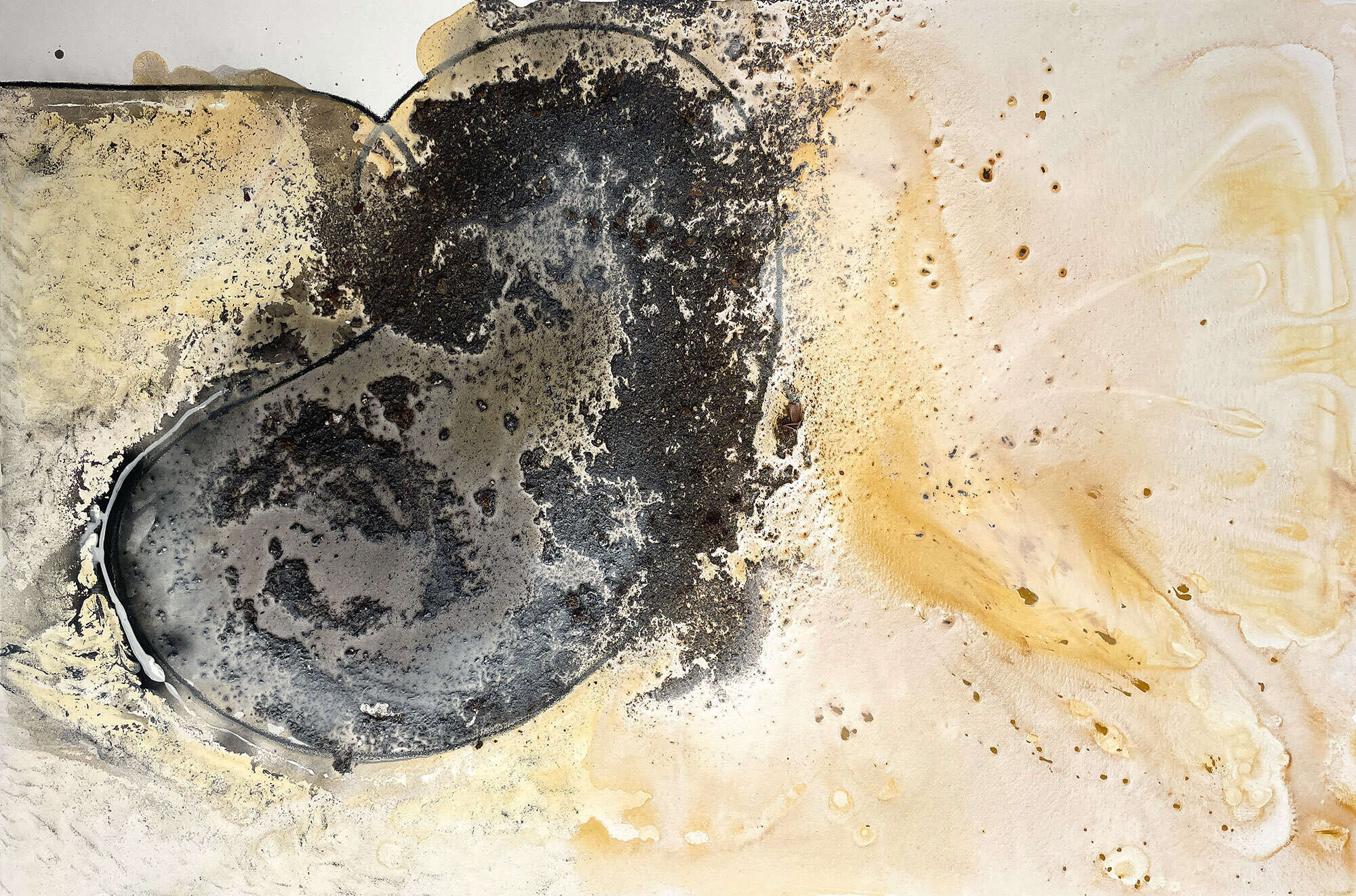 Shedding Shadow, Shedding Light - Vicky Anna Lardschneider 1