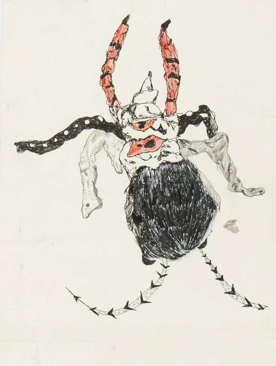 Schön und fremd – Insektenstudie IV - Boramee Kim 1