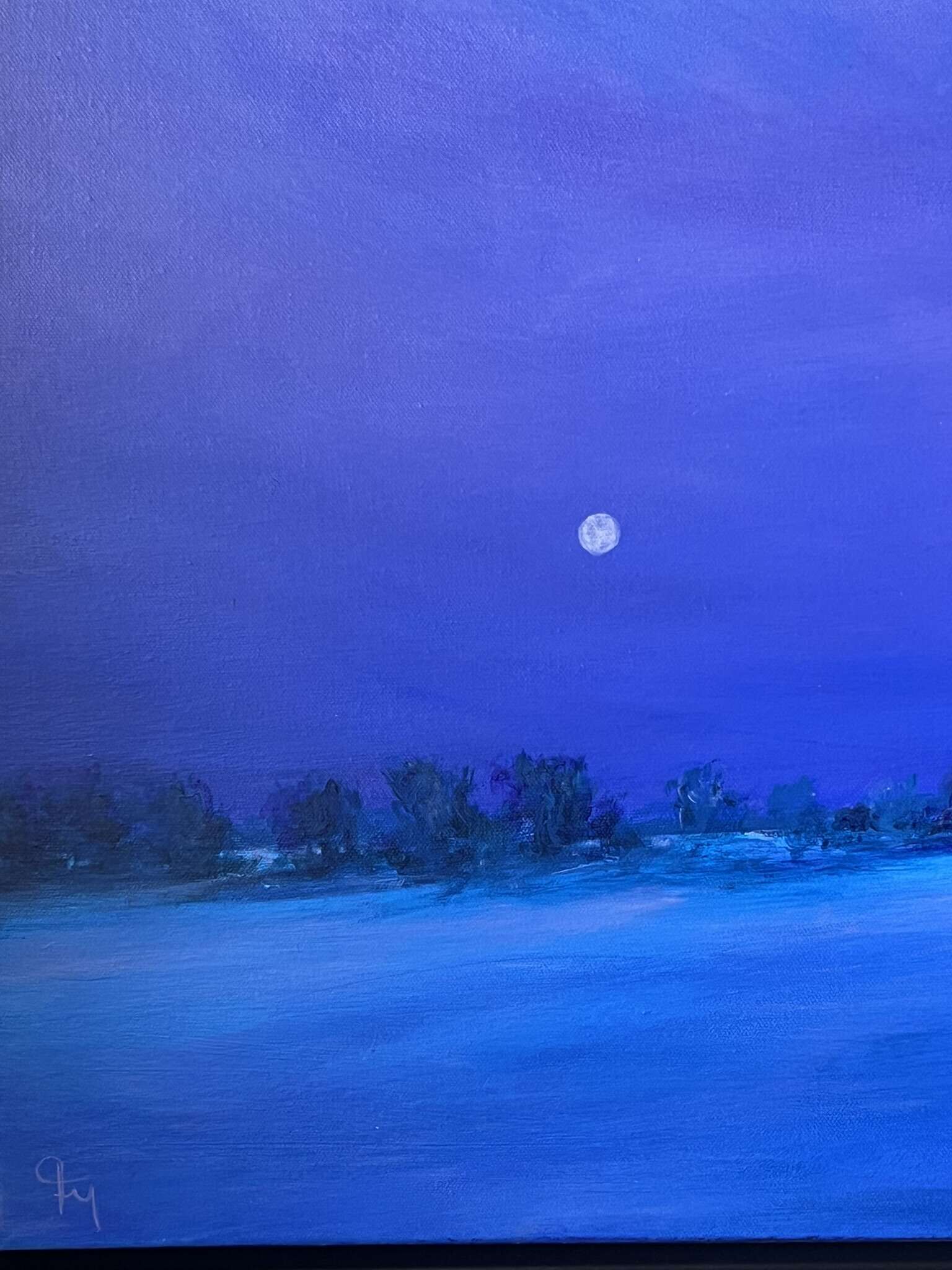 Unter dem letzten Licht - Melissa Faltermeier 2