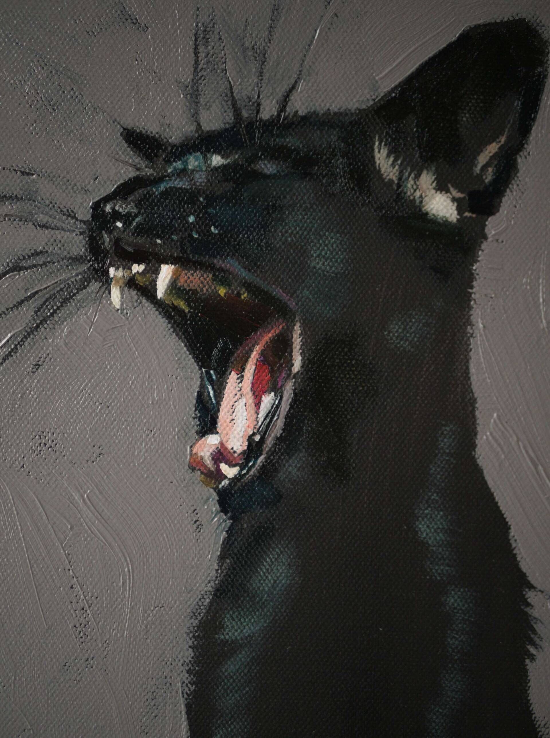 Black Cat - Oleksii Gnievyshev 6