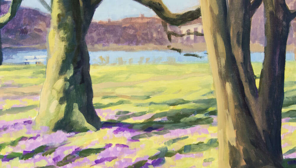 Krokusblüte im Ratsdienergarten (Kiel) - Janna Schnoor 4