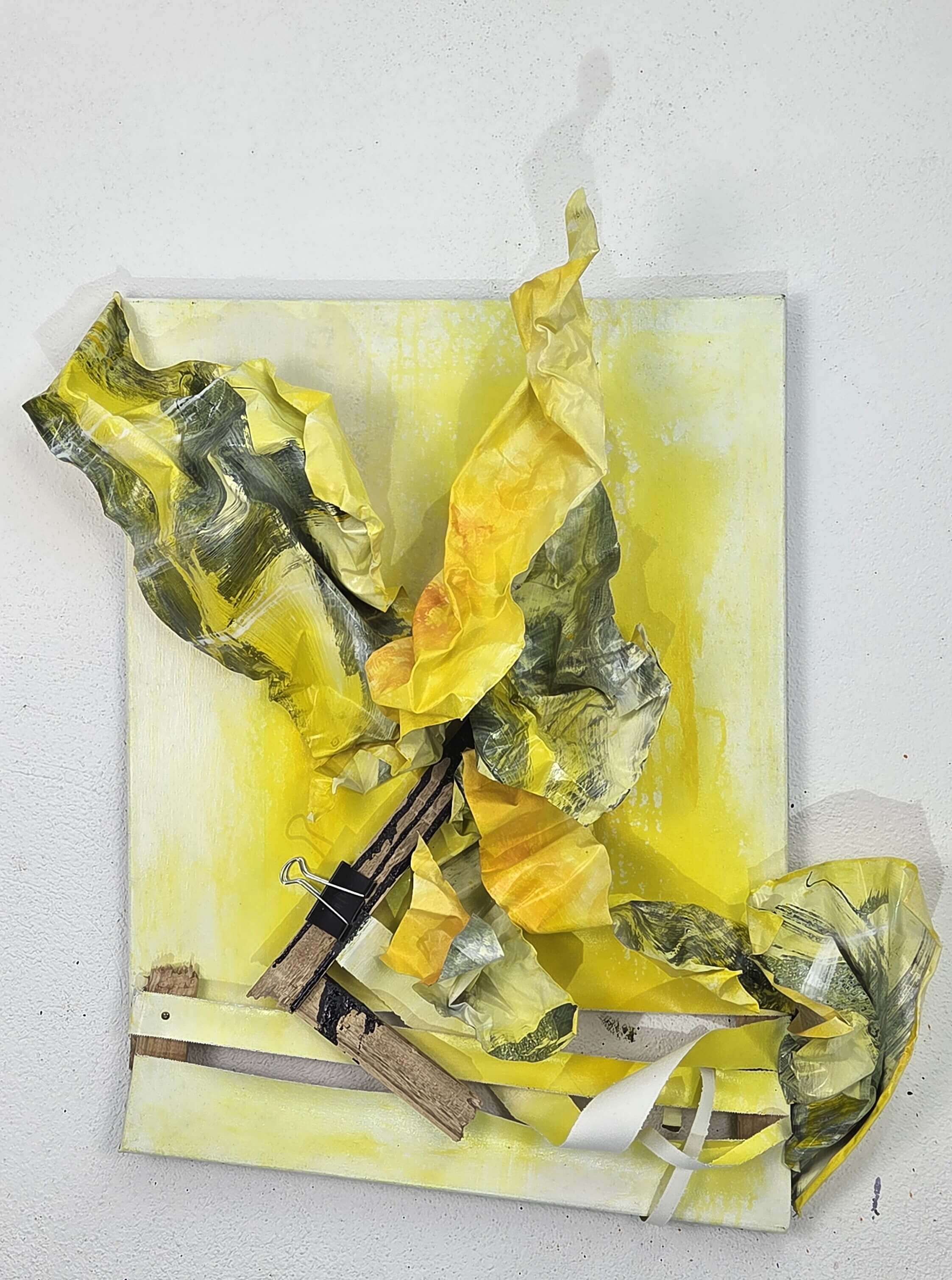 Opus compositum: Opera 01-0925 - Vesna  Faiazza  2