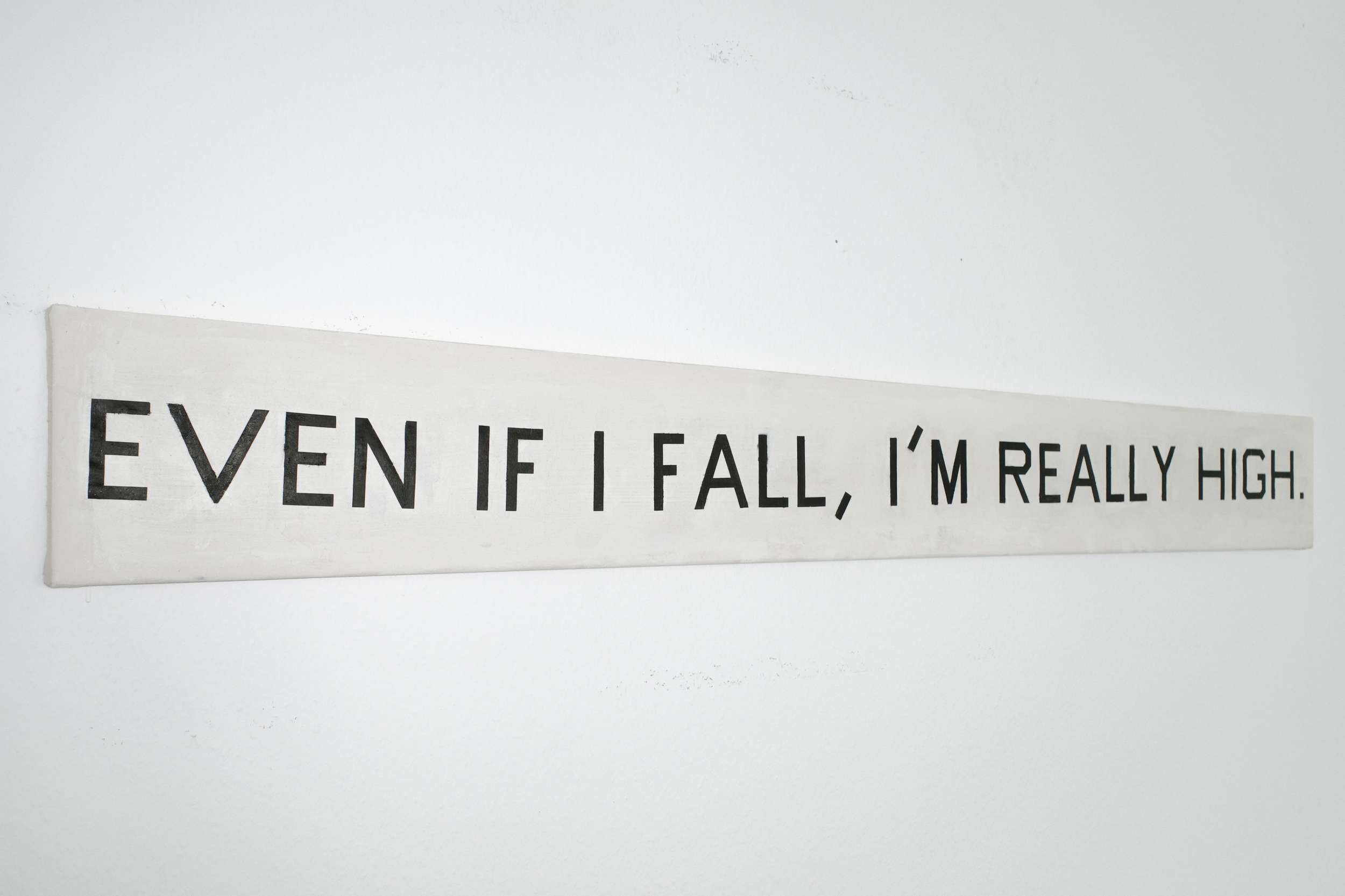 Even if I fall, I'm really high  - Lenny Renz 1