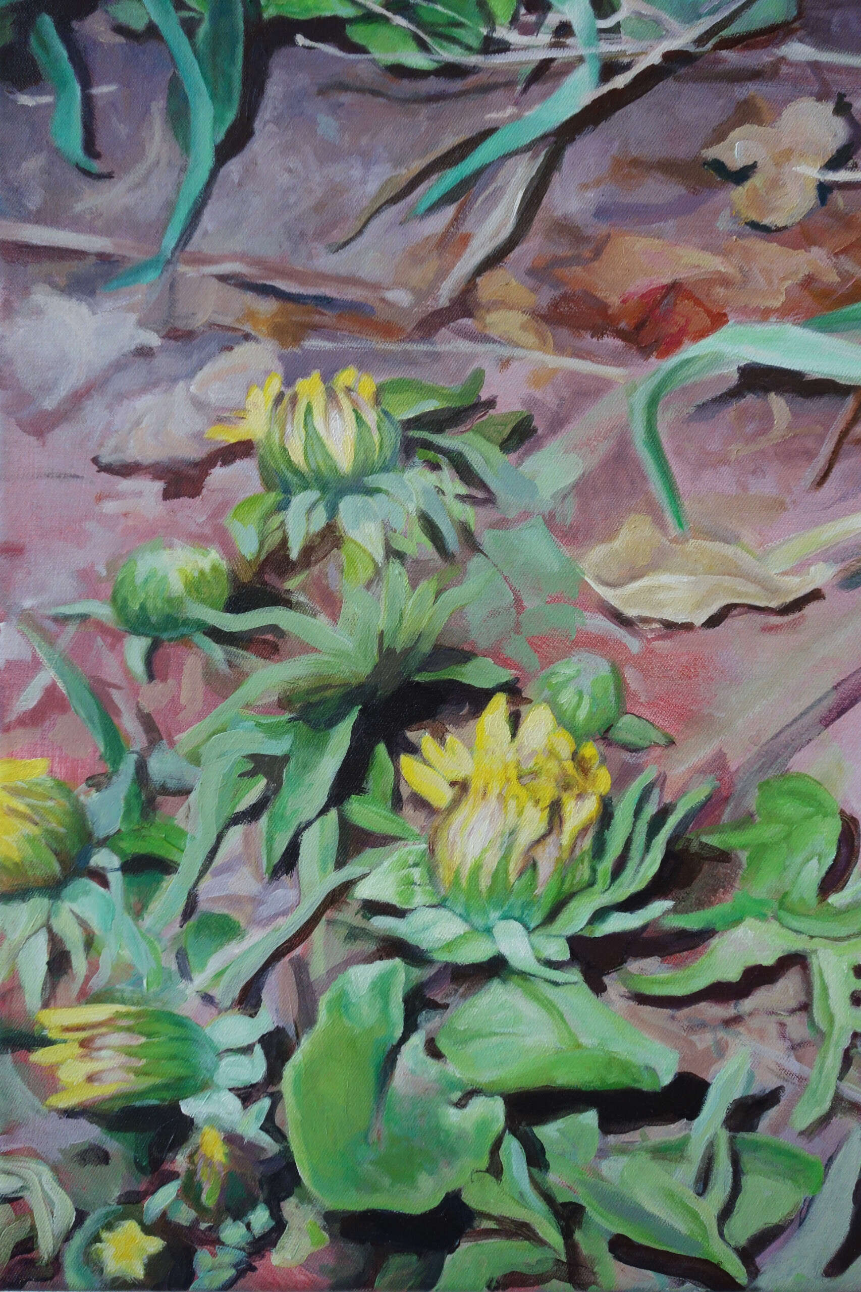 Boden - Johanna Bajog 5