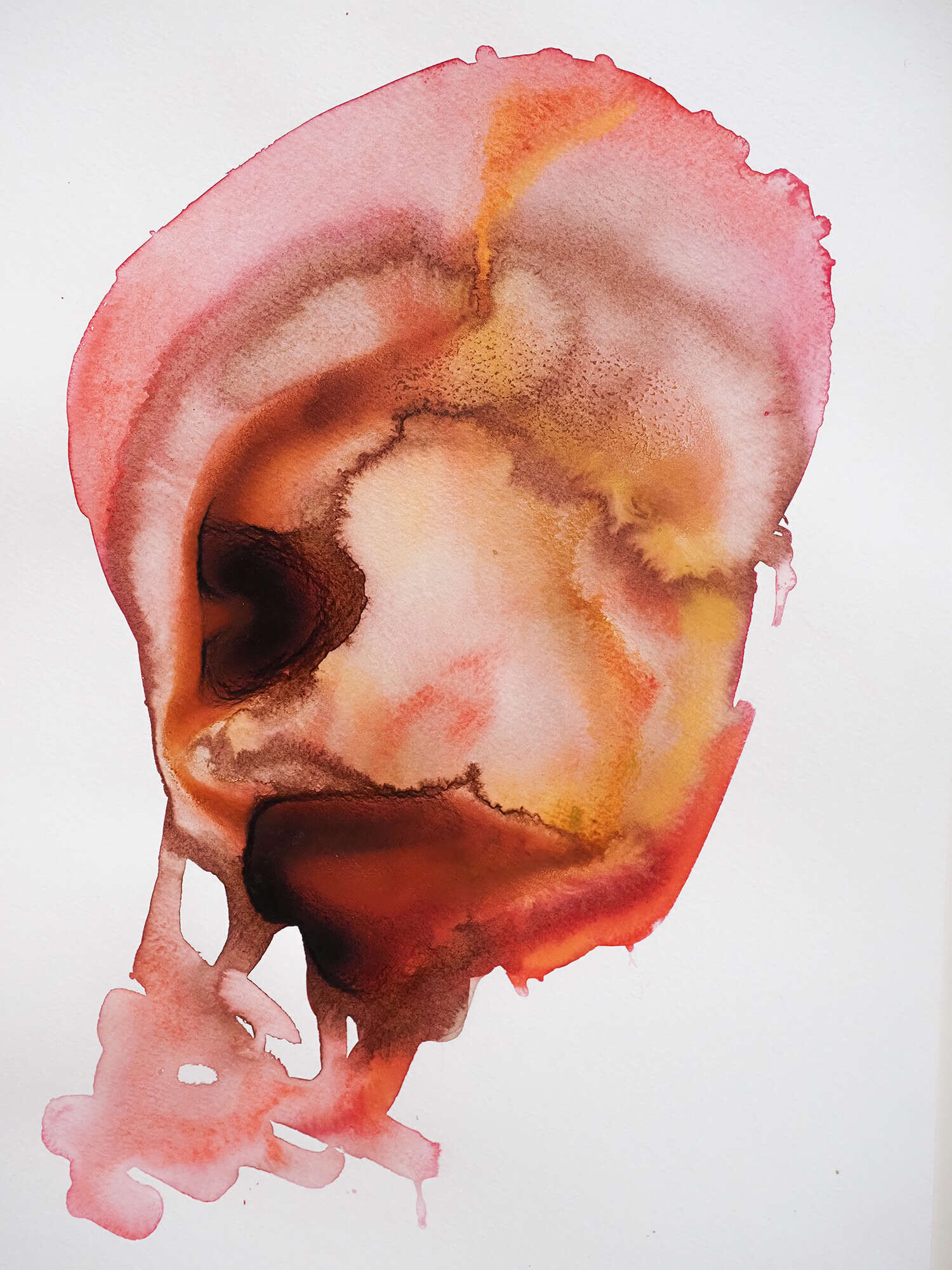 Microverse 11/12 - Vicky Anna Lardschneider 2