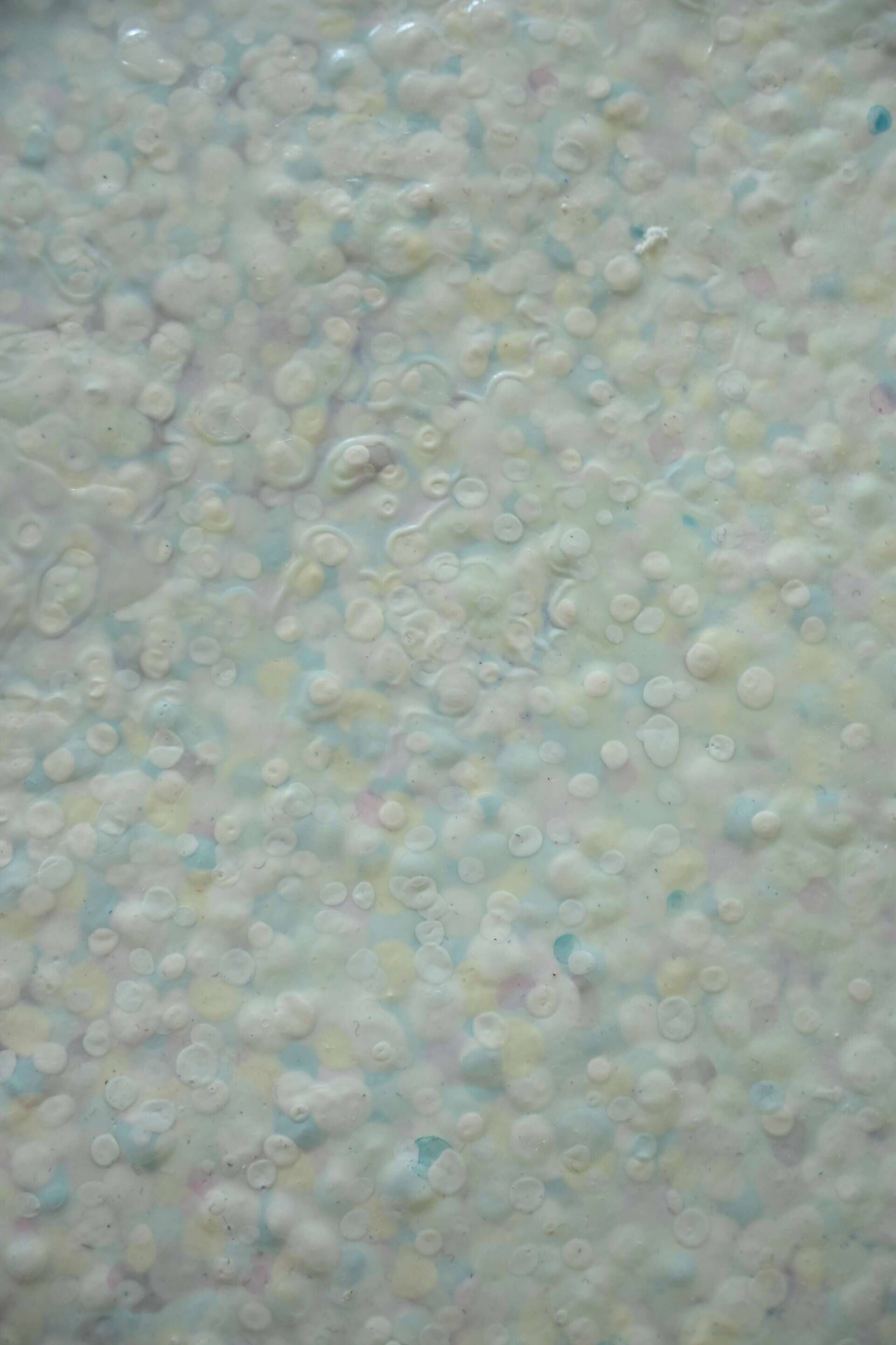 W.L.0003 - Pia Weigert 1