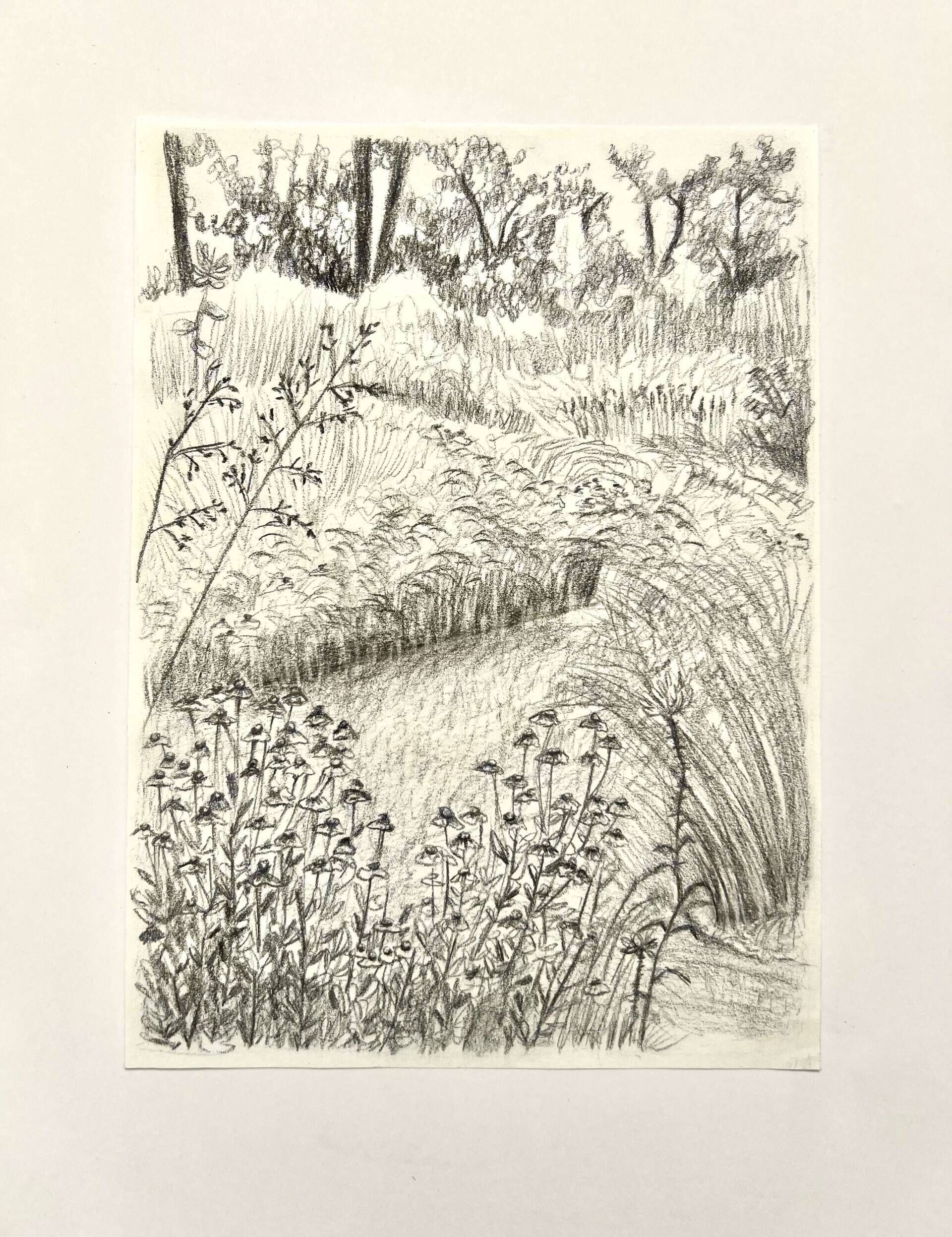 Flusslauf - Paula Victoria Aldea 3
