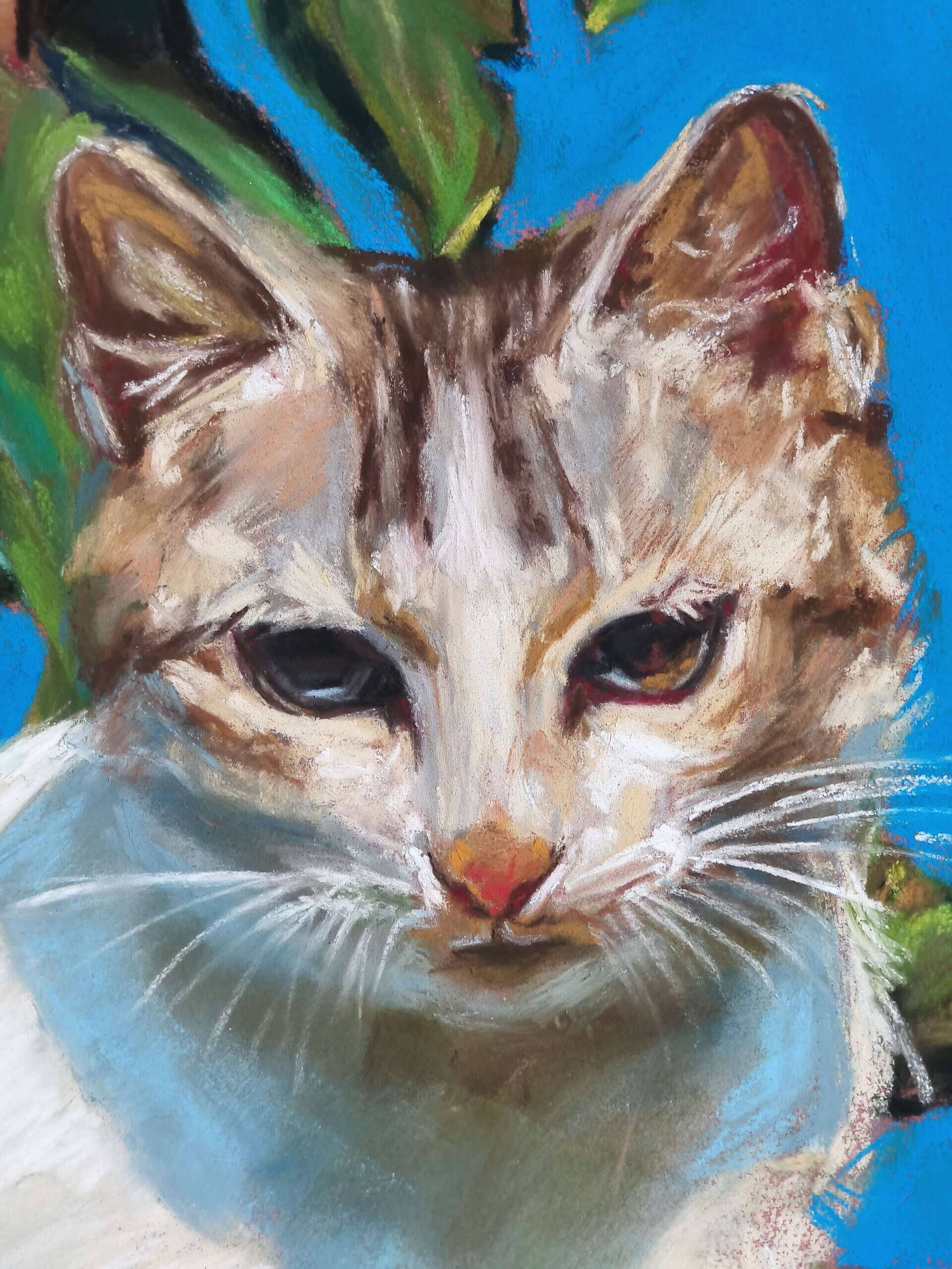 Magic cat - Elza Slo 2