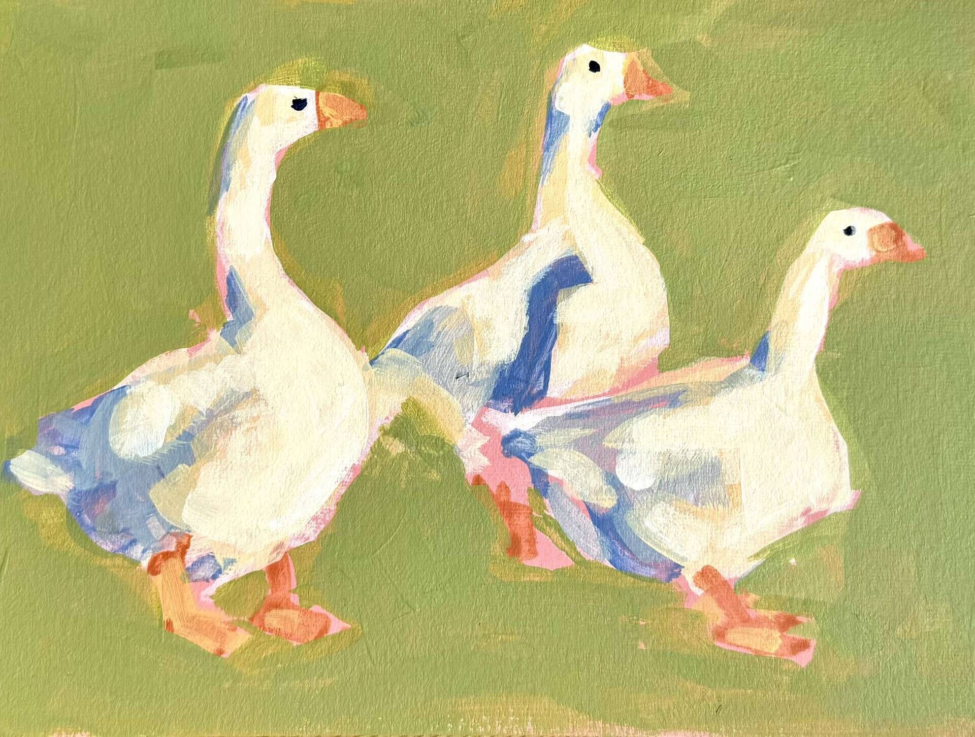 Gänse im Grün - Daniel Heimgärtner 1