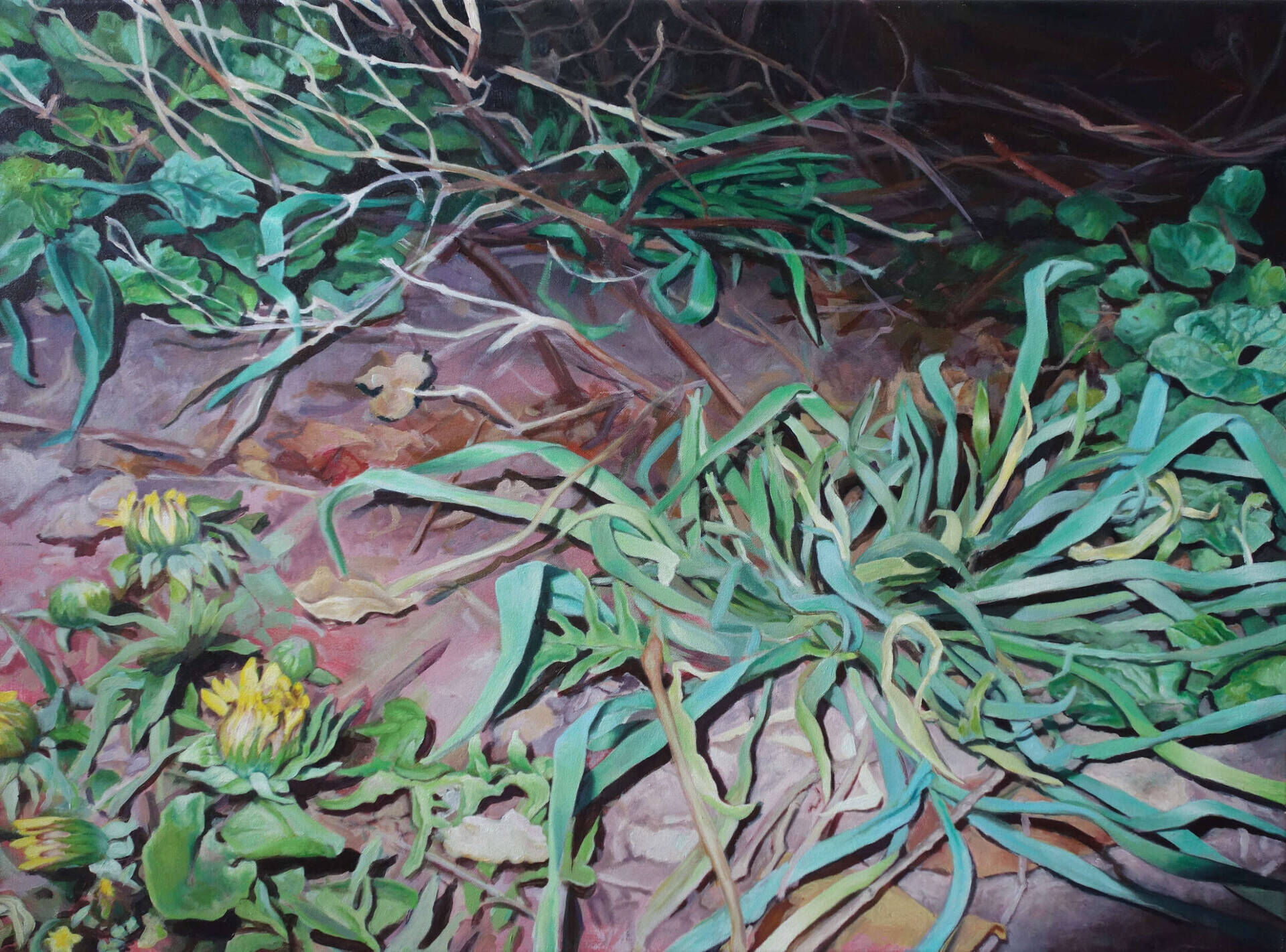 Boden - Johanna Bajog 1