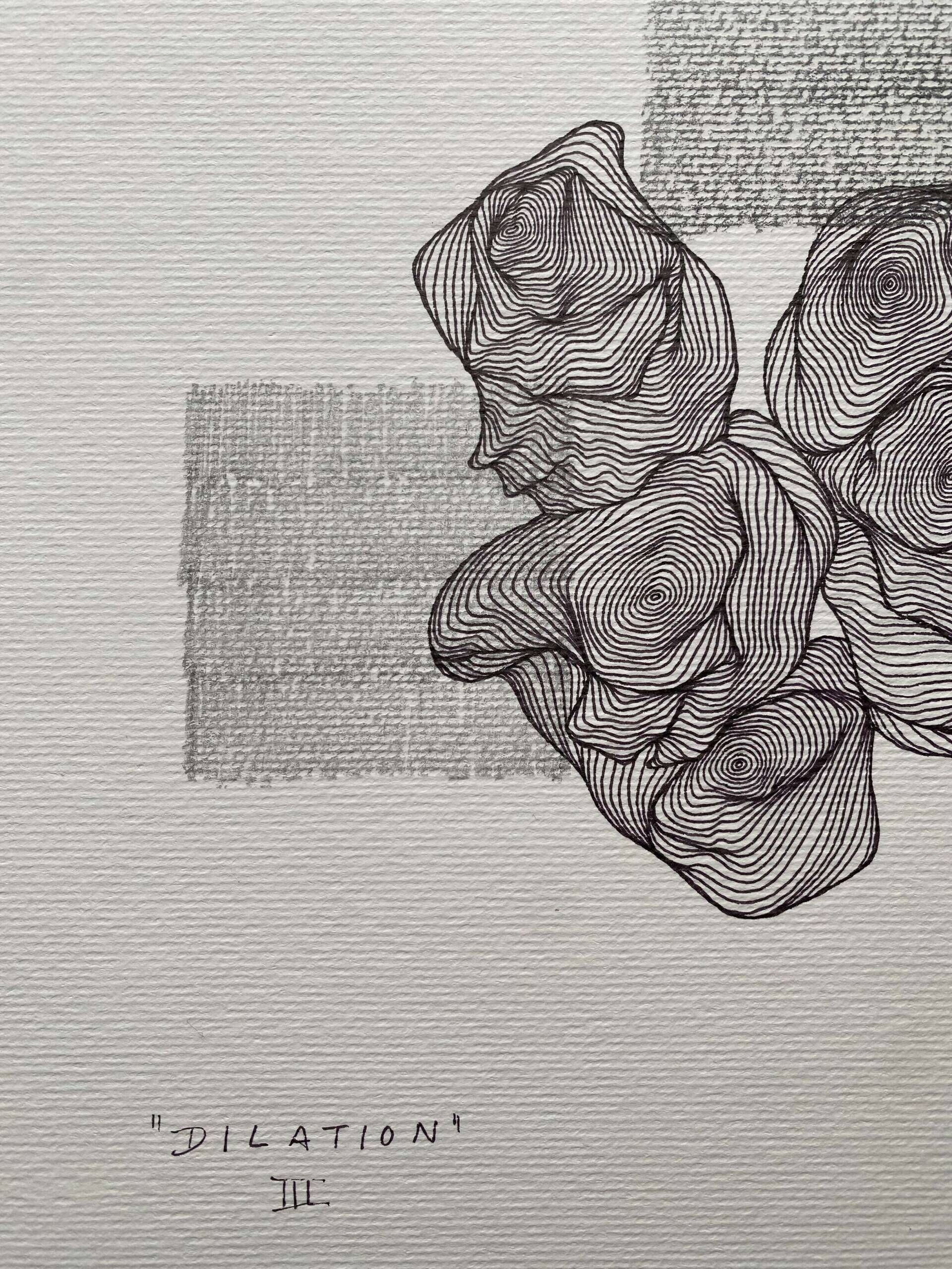 dilation III - Paula-Maryla Schmoll 3