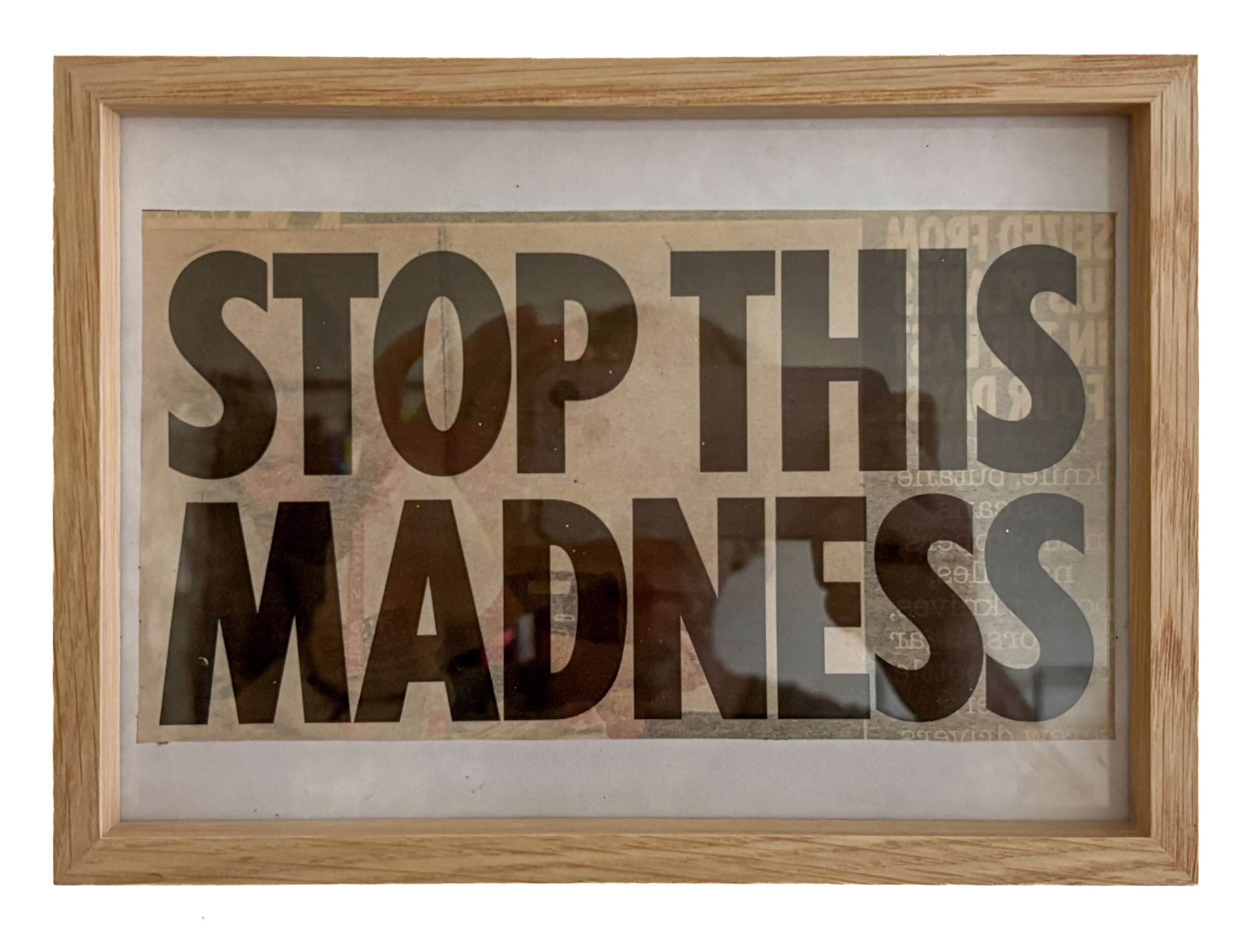 Stop the Madness - Lenny Renz 6