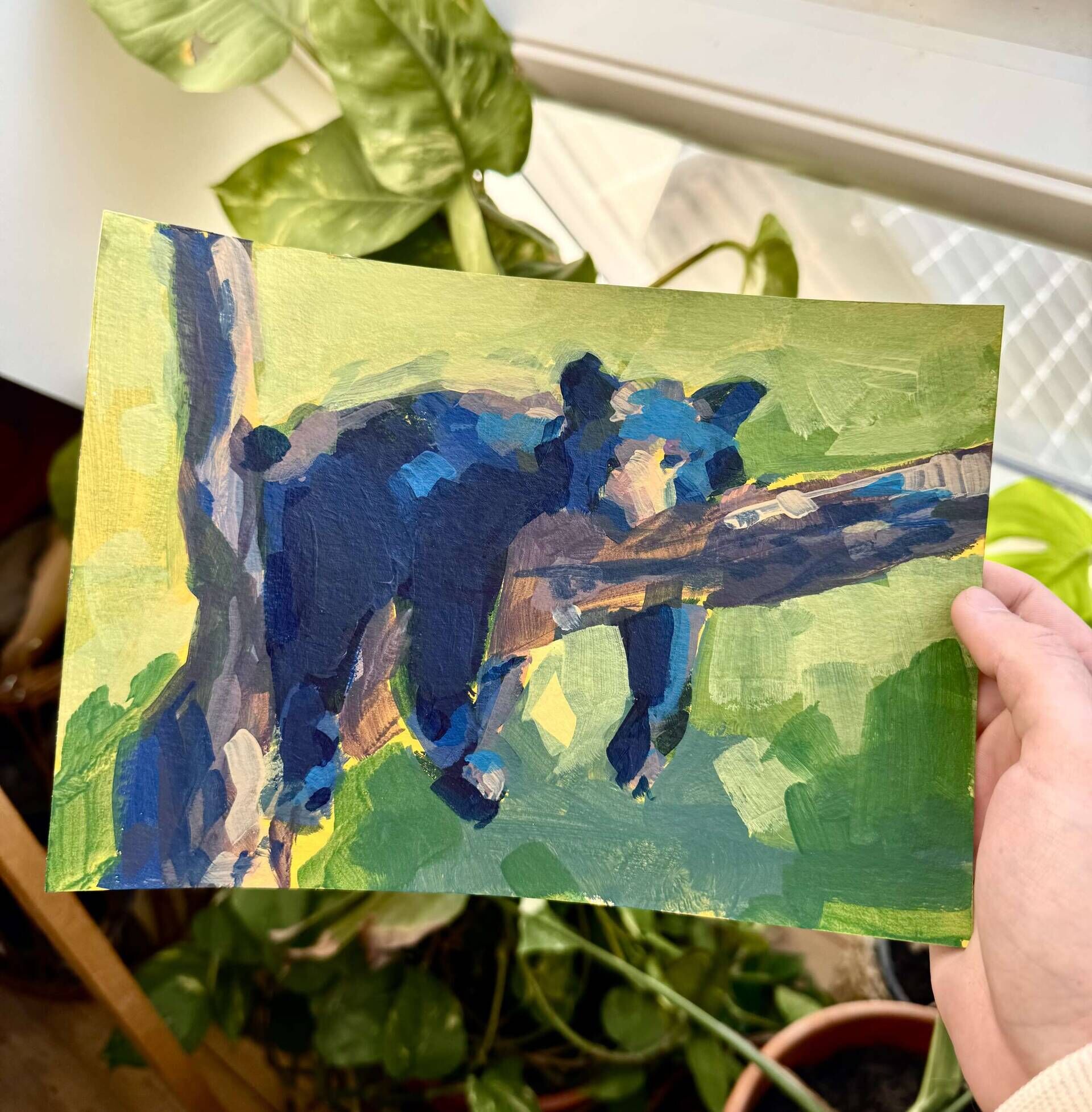 Bär, abhängend - Daniel Heimgärtner 2