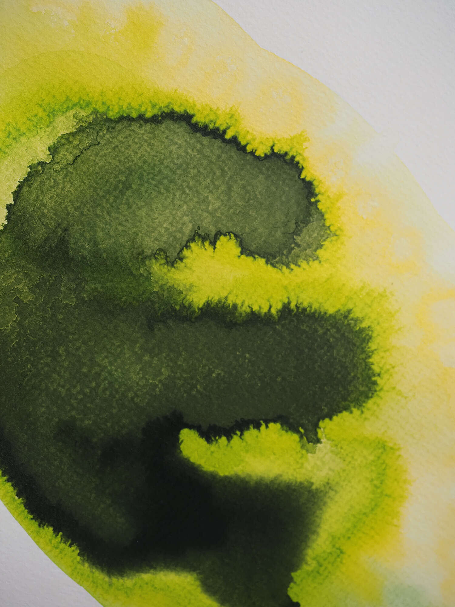 Microverse 9/12 - Vicky Anna Lardschneider 2