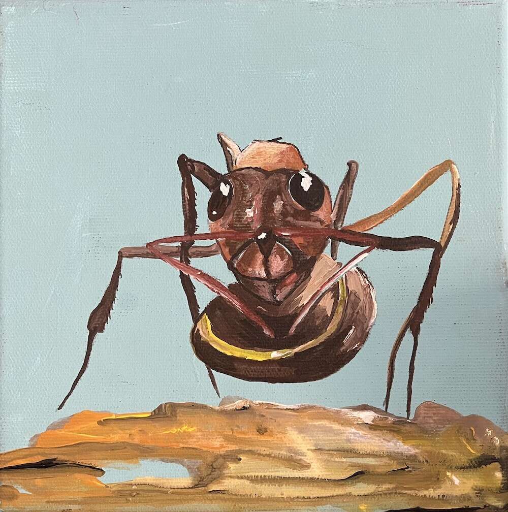 My daily ant Nr.12 - Barbara Wagner 1