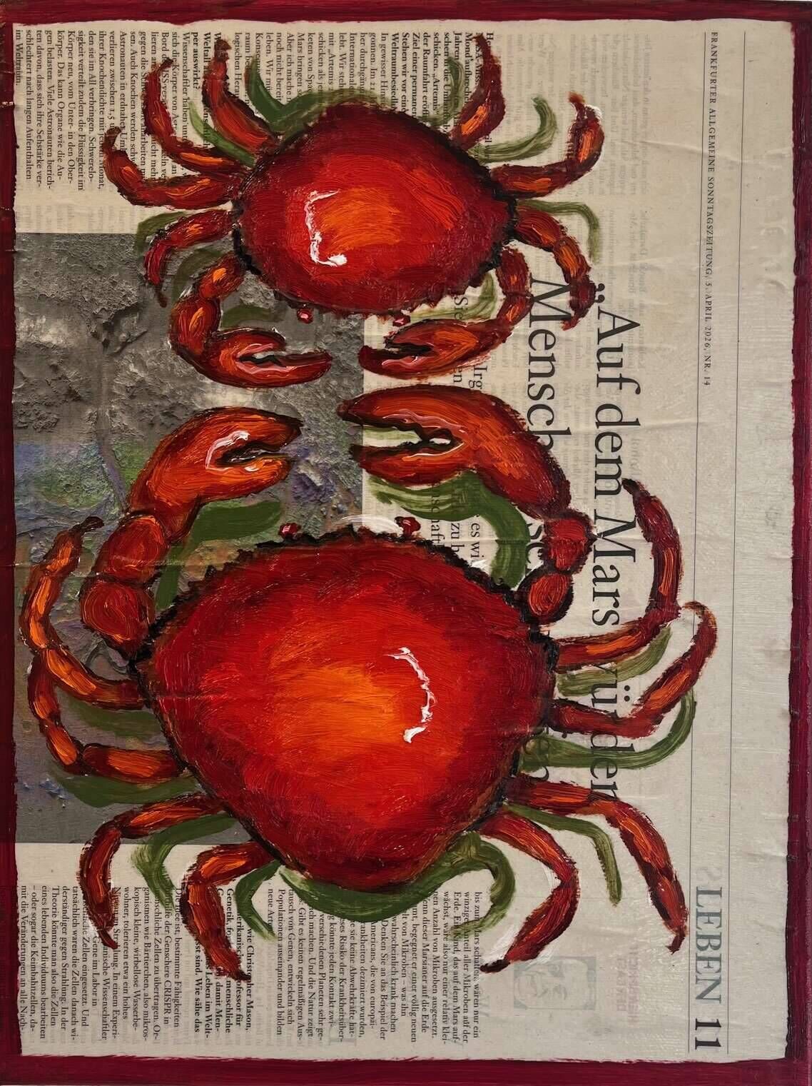 Auf dem Mars würden Menschen schrumpfen  - Anna Hopfensberger 3