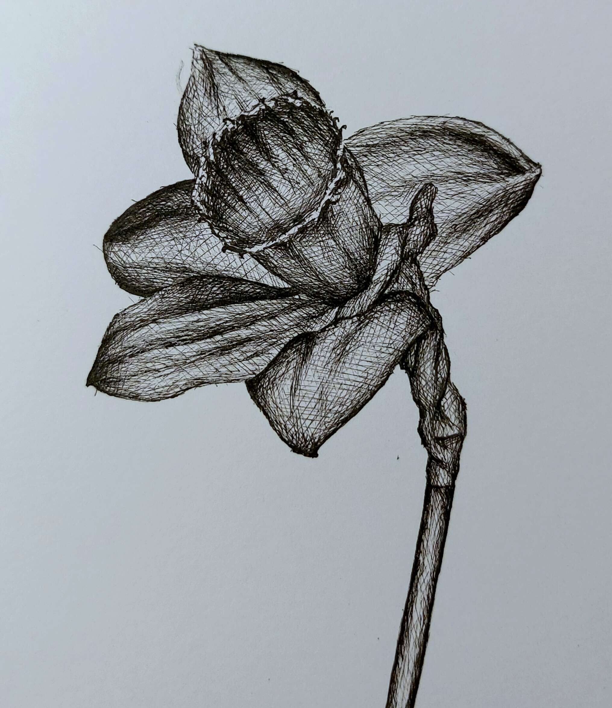 Zwischen Selbstliebe und Verfall - Vergängliche Eitelkeit - Alexander Straub 4