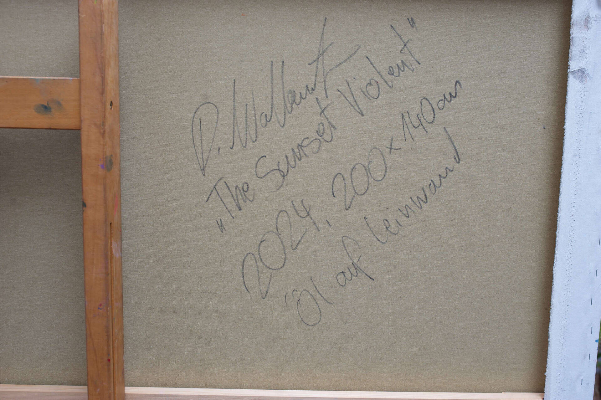 The Sunset Violent  - Daniel Wöllenstein  6